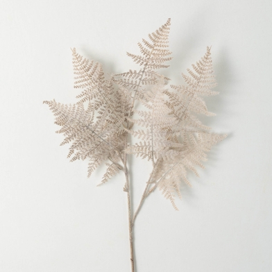 PALE DELICATE FEATHERY FERNS