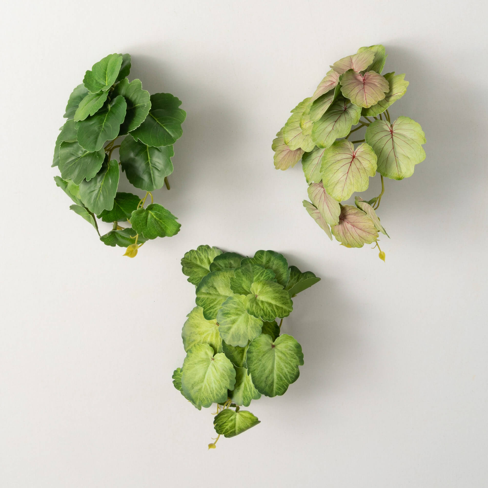 GREEN BEGONIA LEAF BUSH TRIO