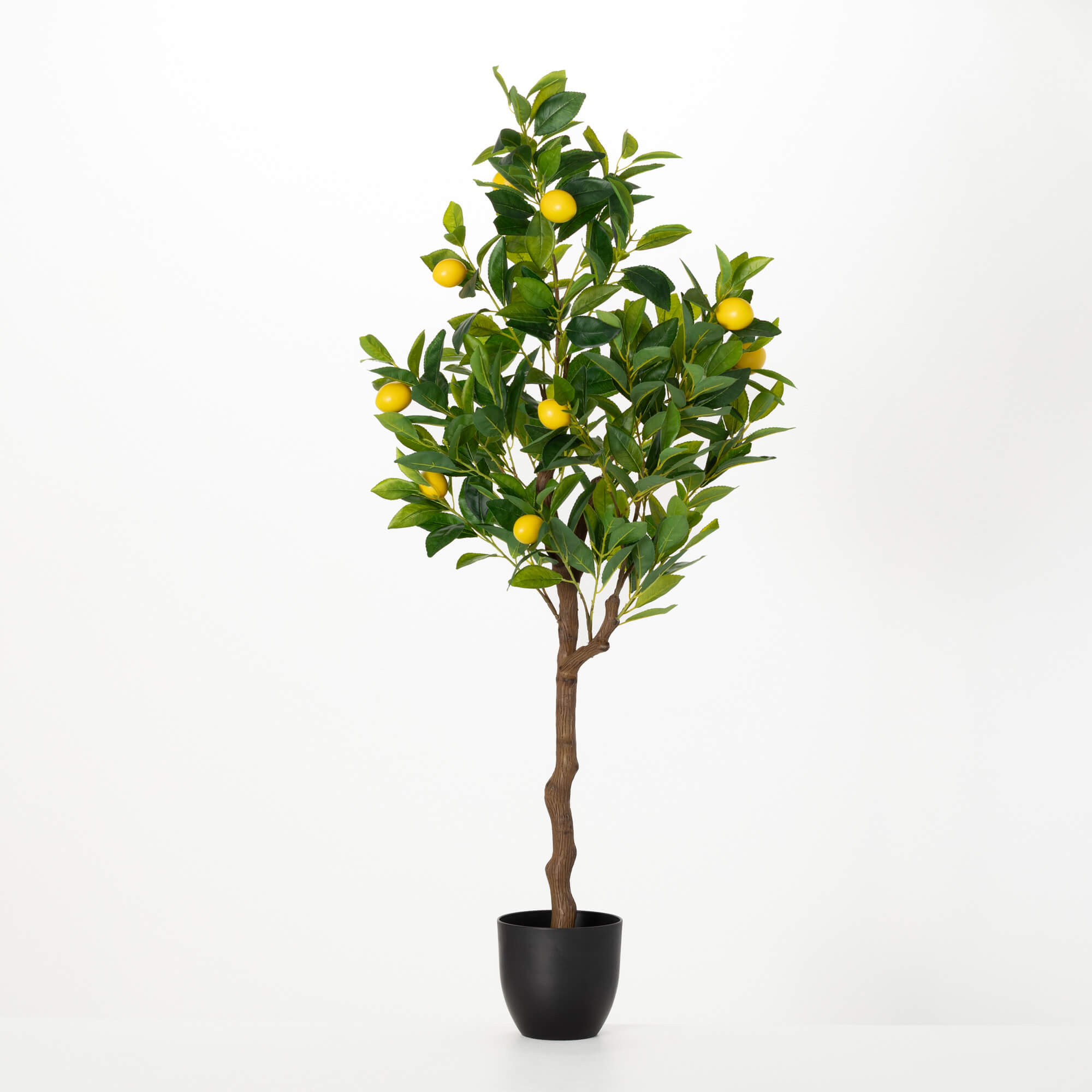 LEMON TREE