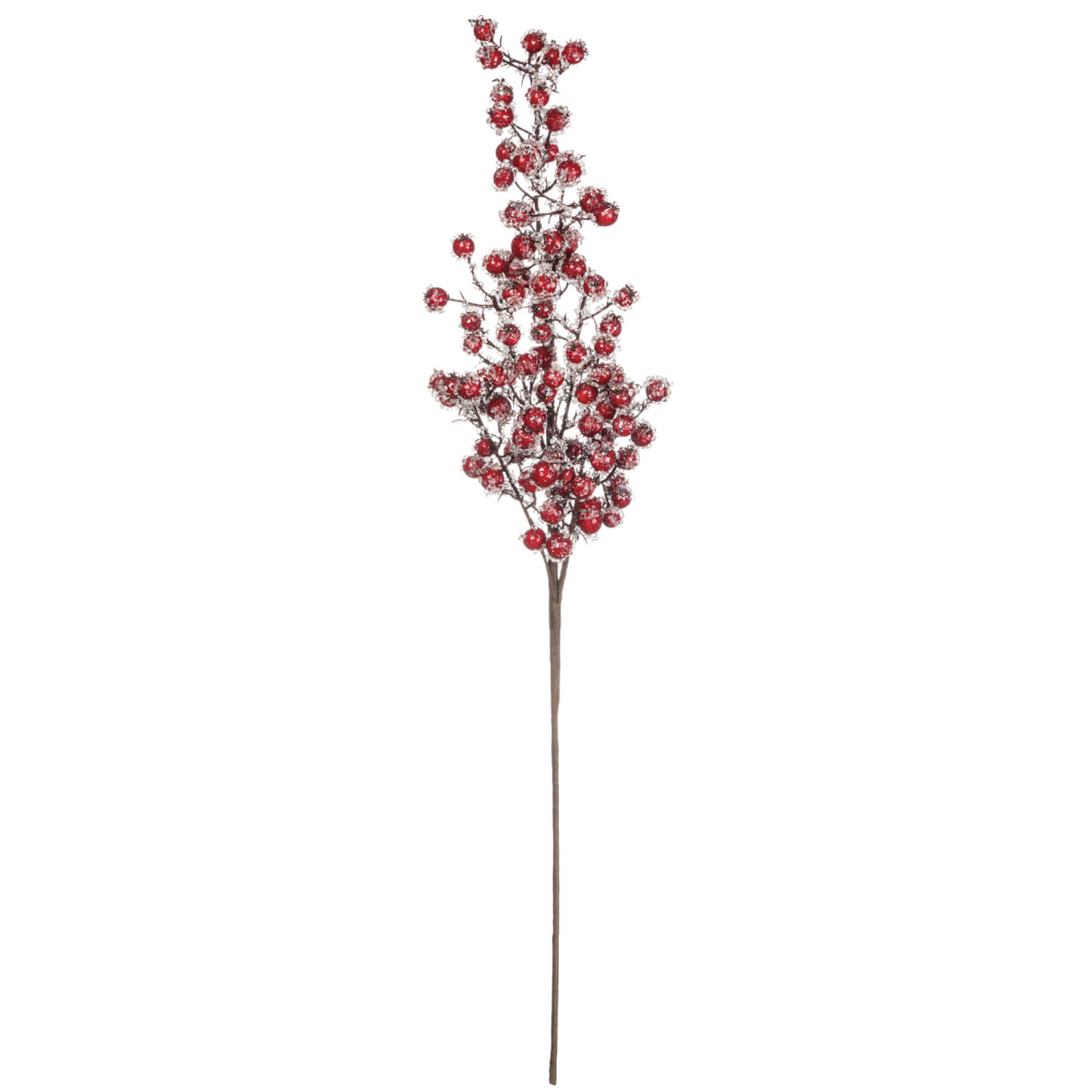 BERRY WITH ICE SPRAY