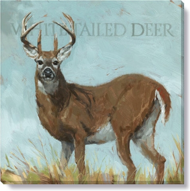 WHITE-TAILED DEER GICLEE WALL