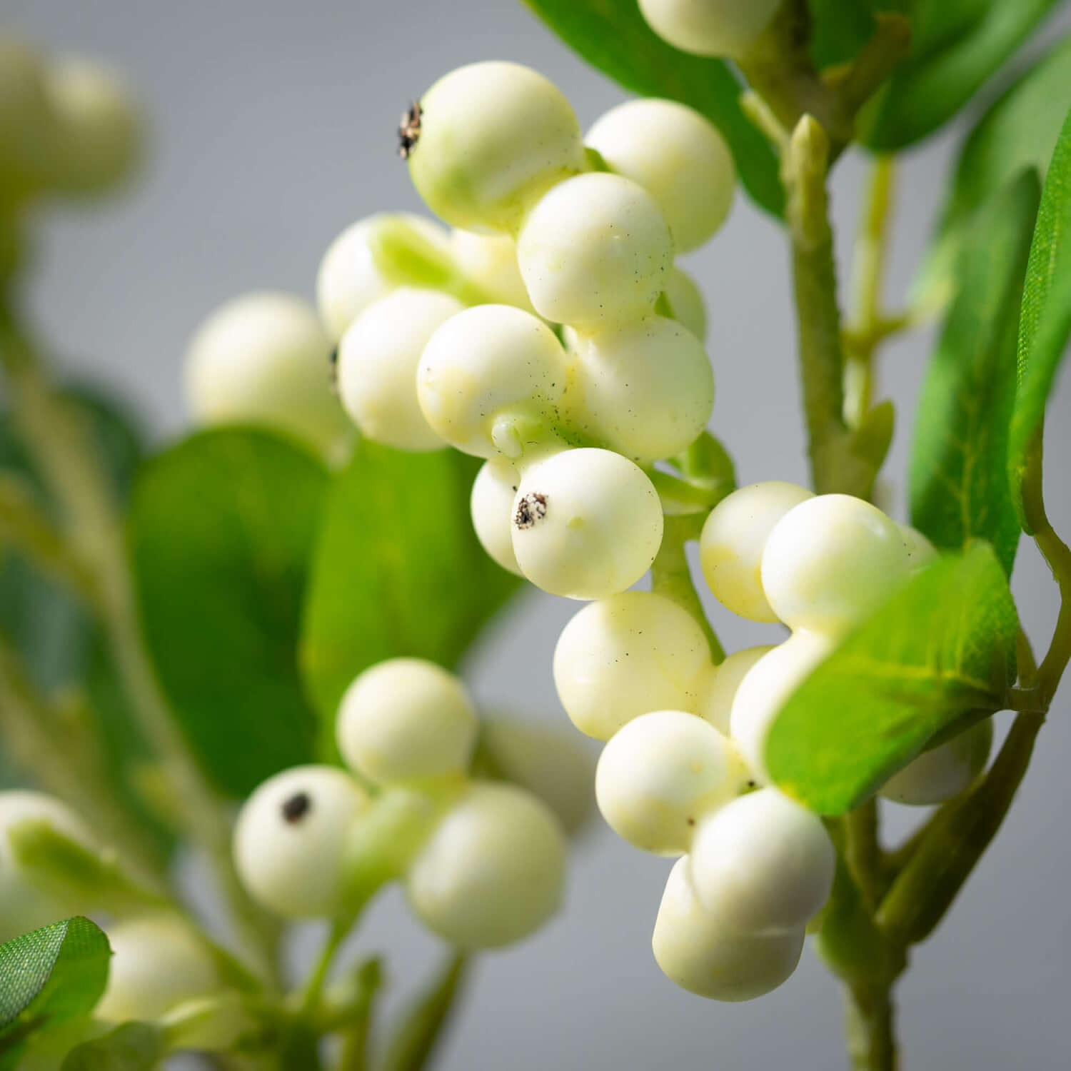 Wholesale Berry Stem, Stems White Berries