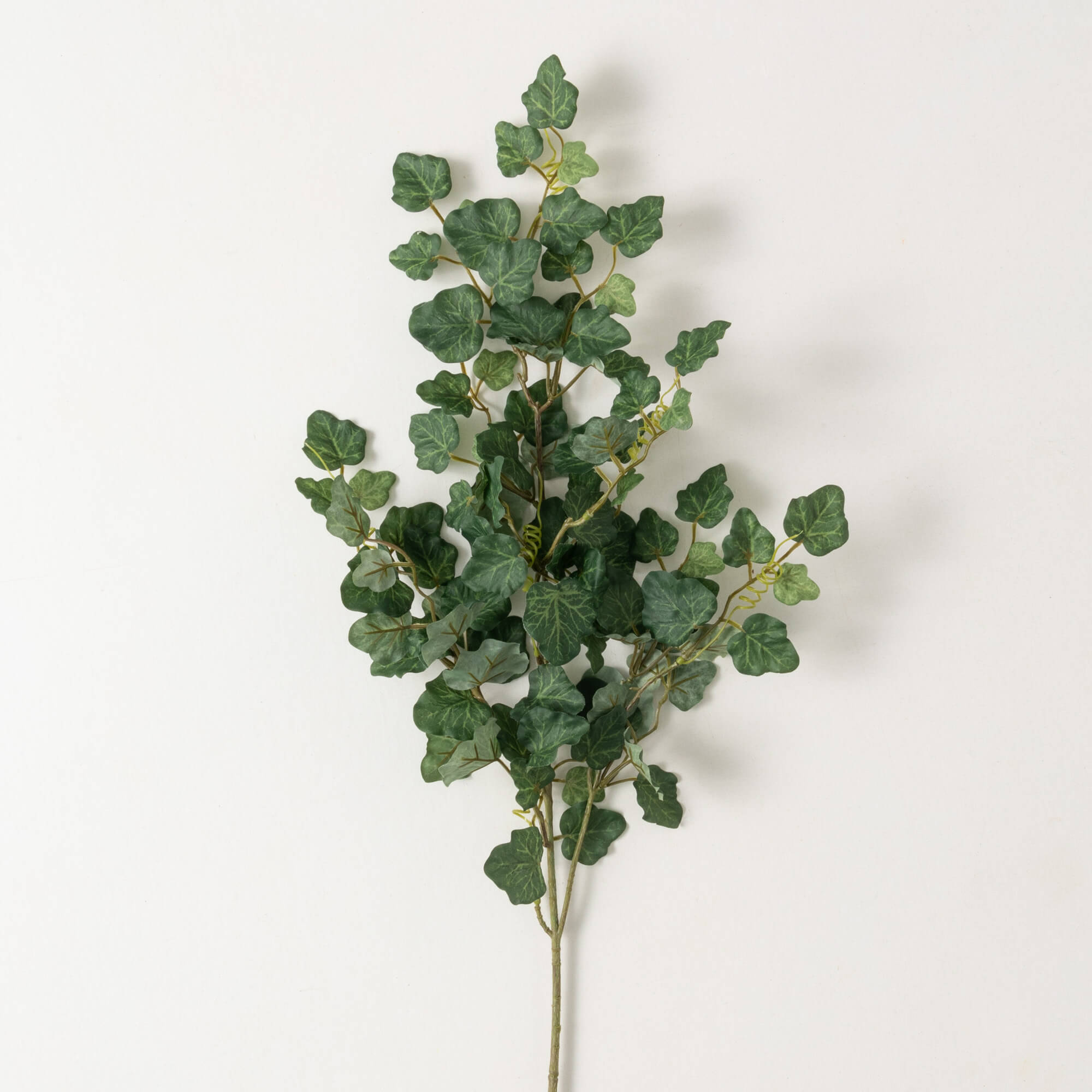 IVY SPRAY