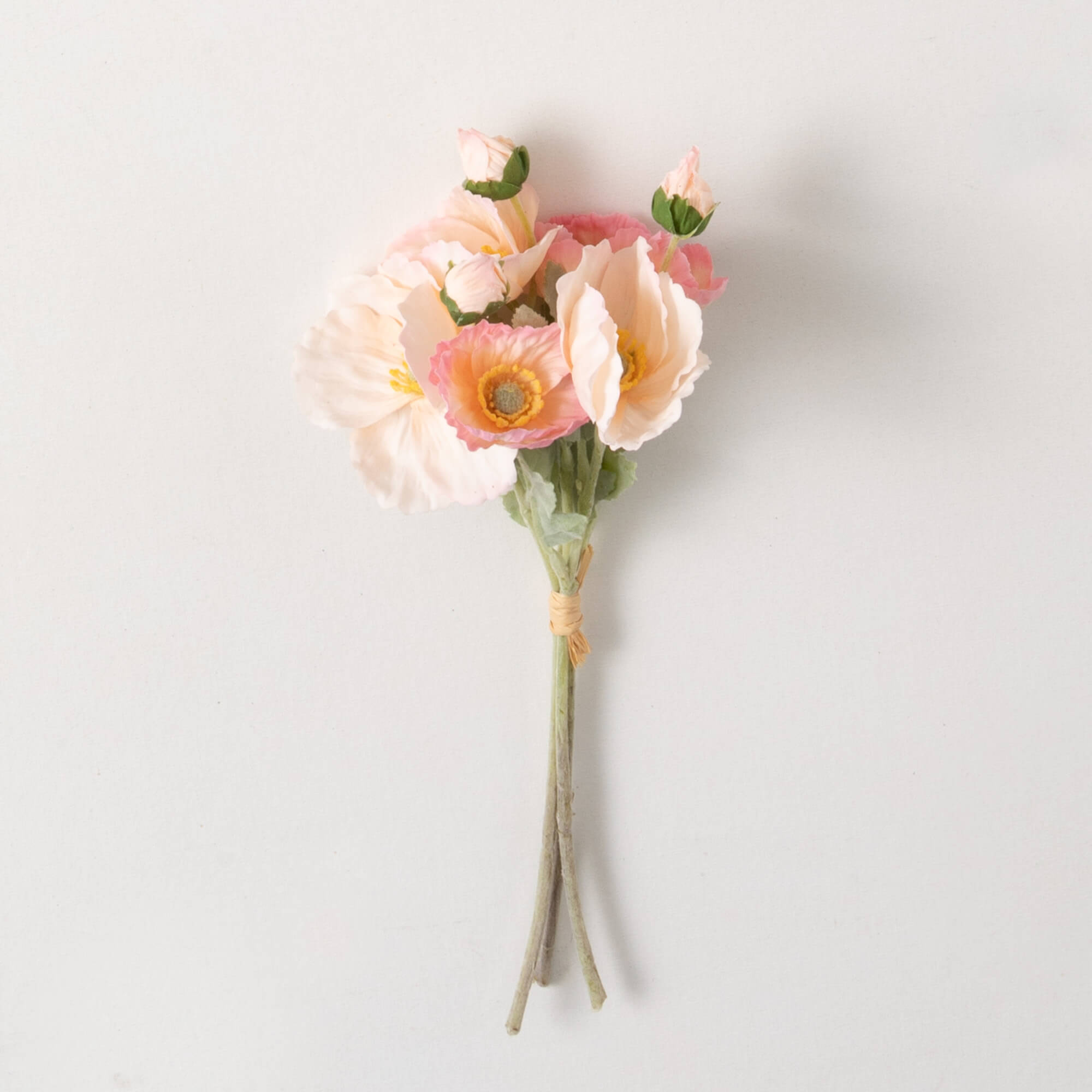 PEACH POPPY BUSH