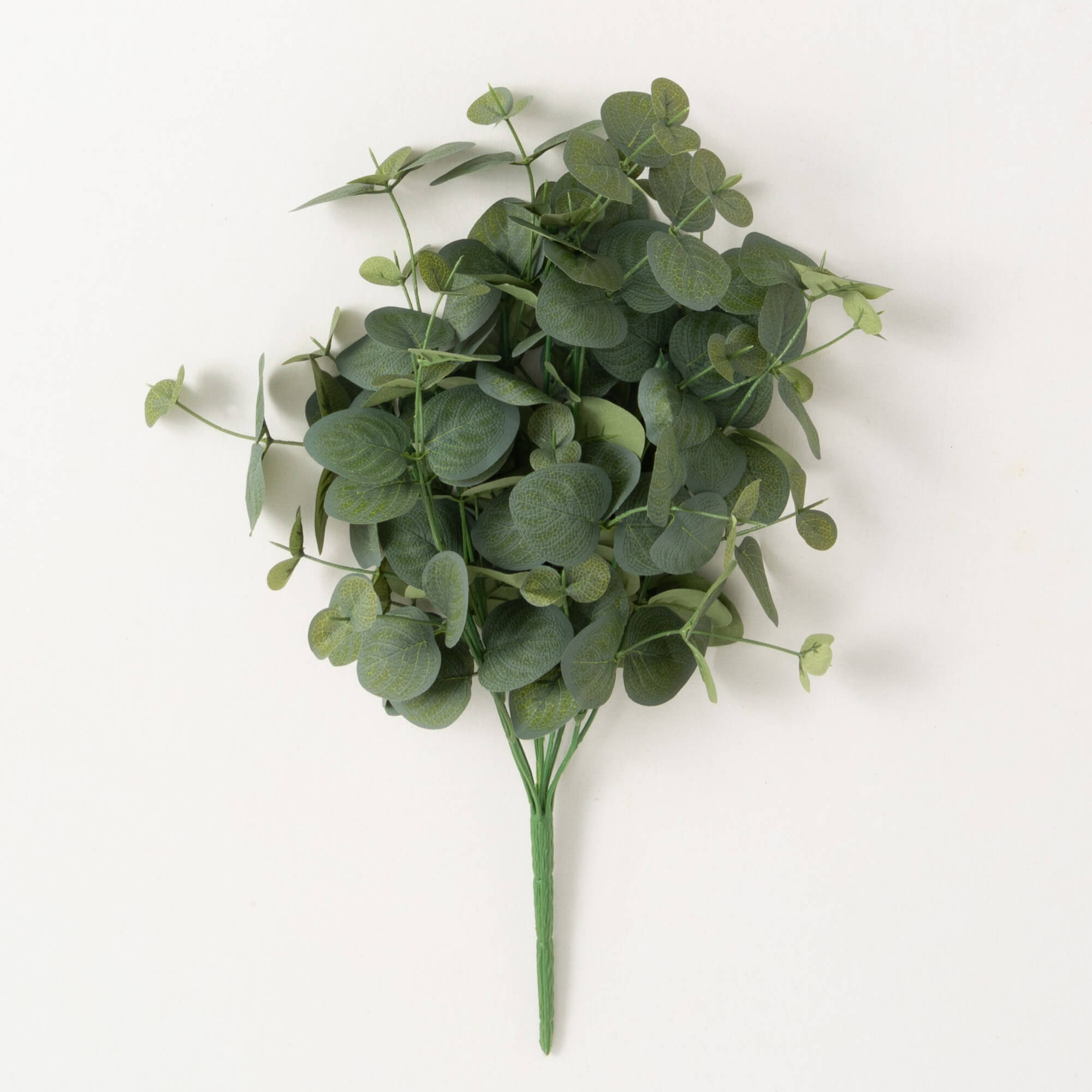 GREY GREEN EUCULPTUS BUSH