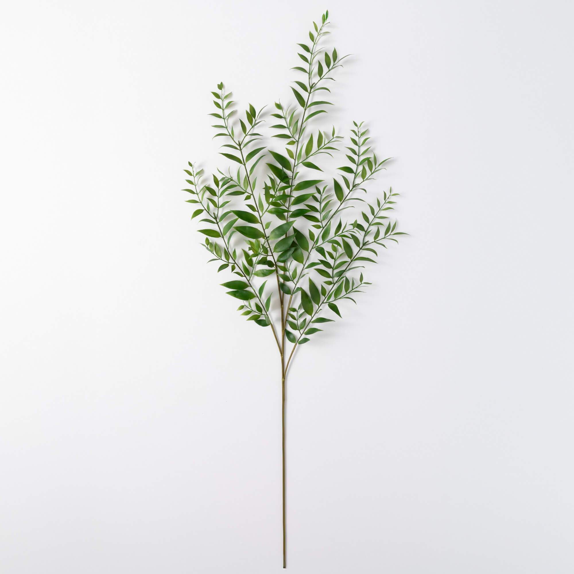 SMILAX LEAF SPRAY