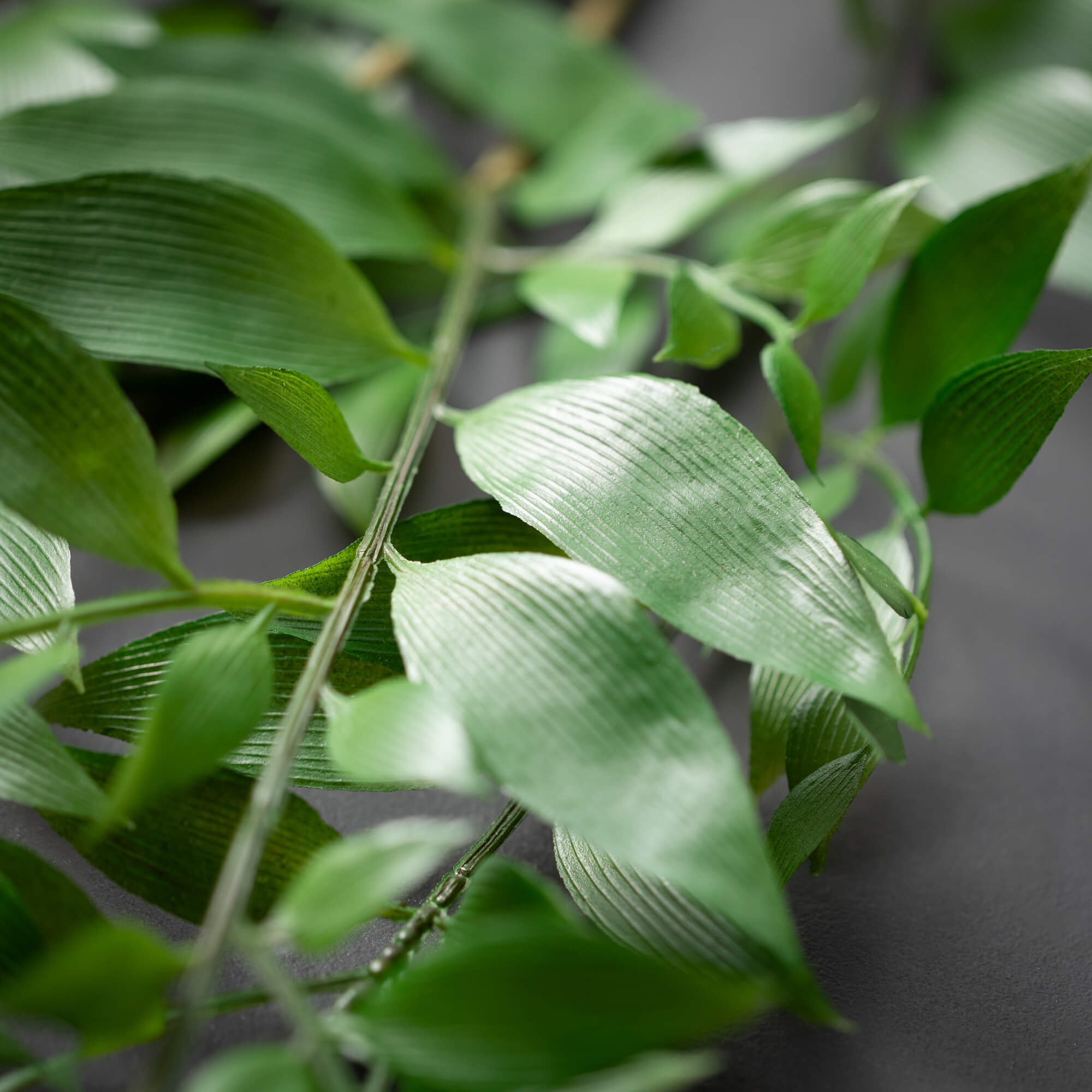 SMILAX LEAF SPRAY