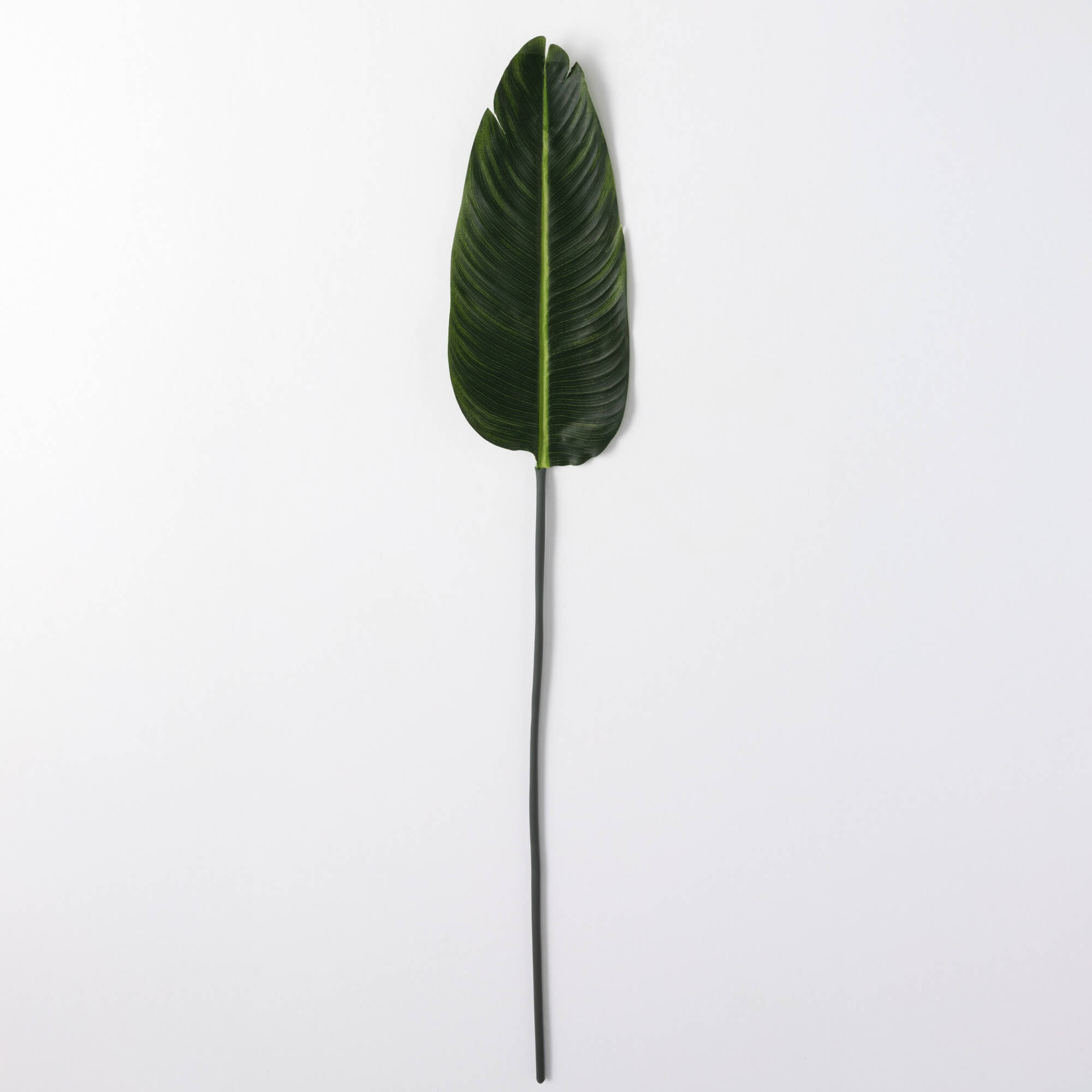 BANANA LEAF SPRAY