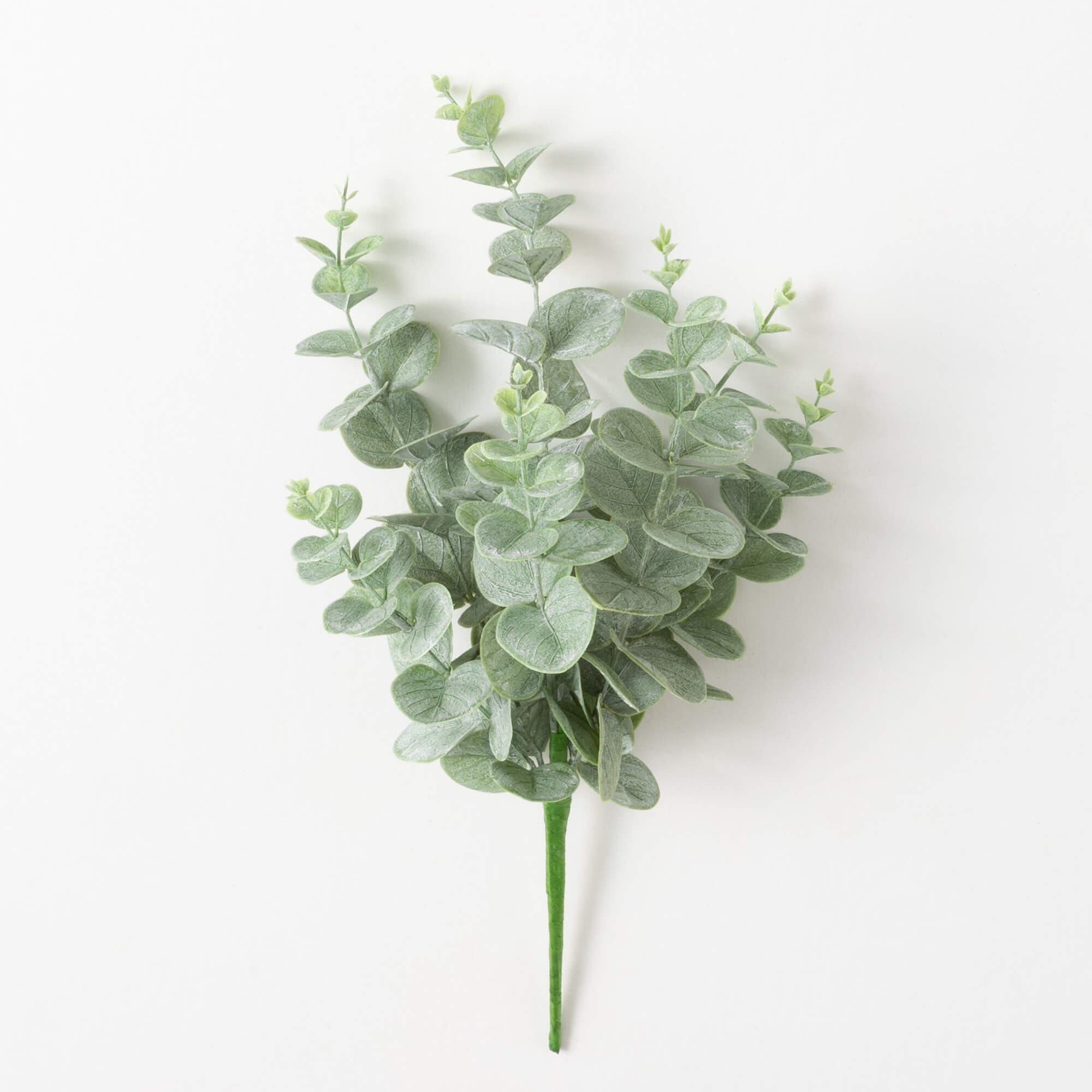 EUCALYPTUS SPRAY