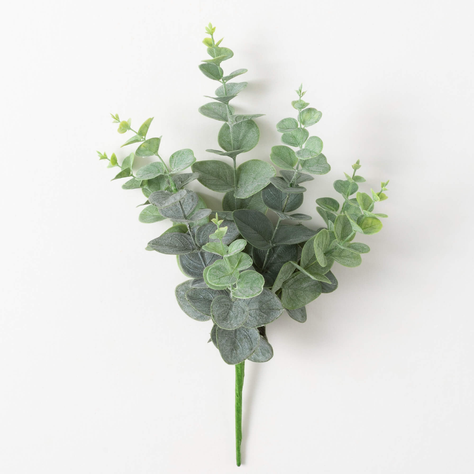 EUCALYPTUS SPRAY