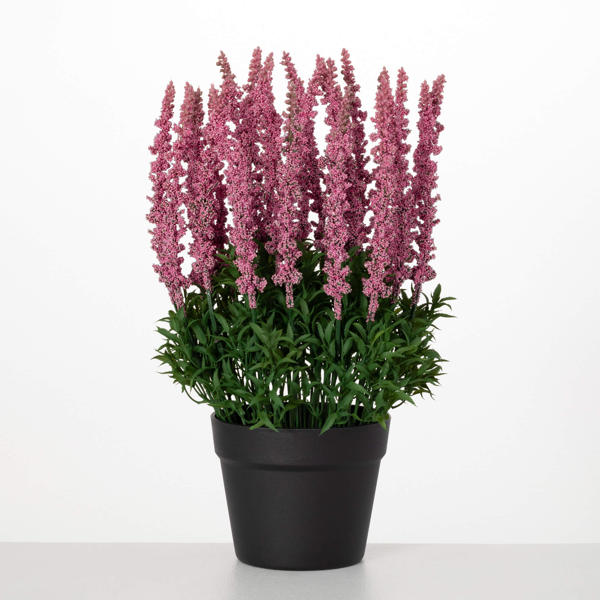 POTTED HEATHER