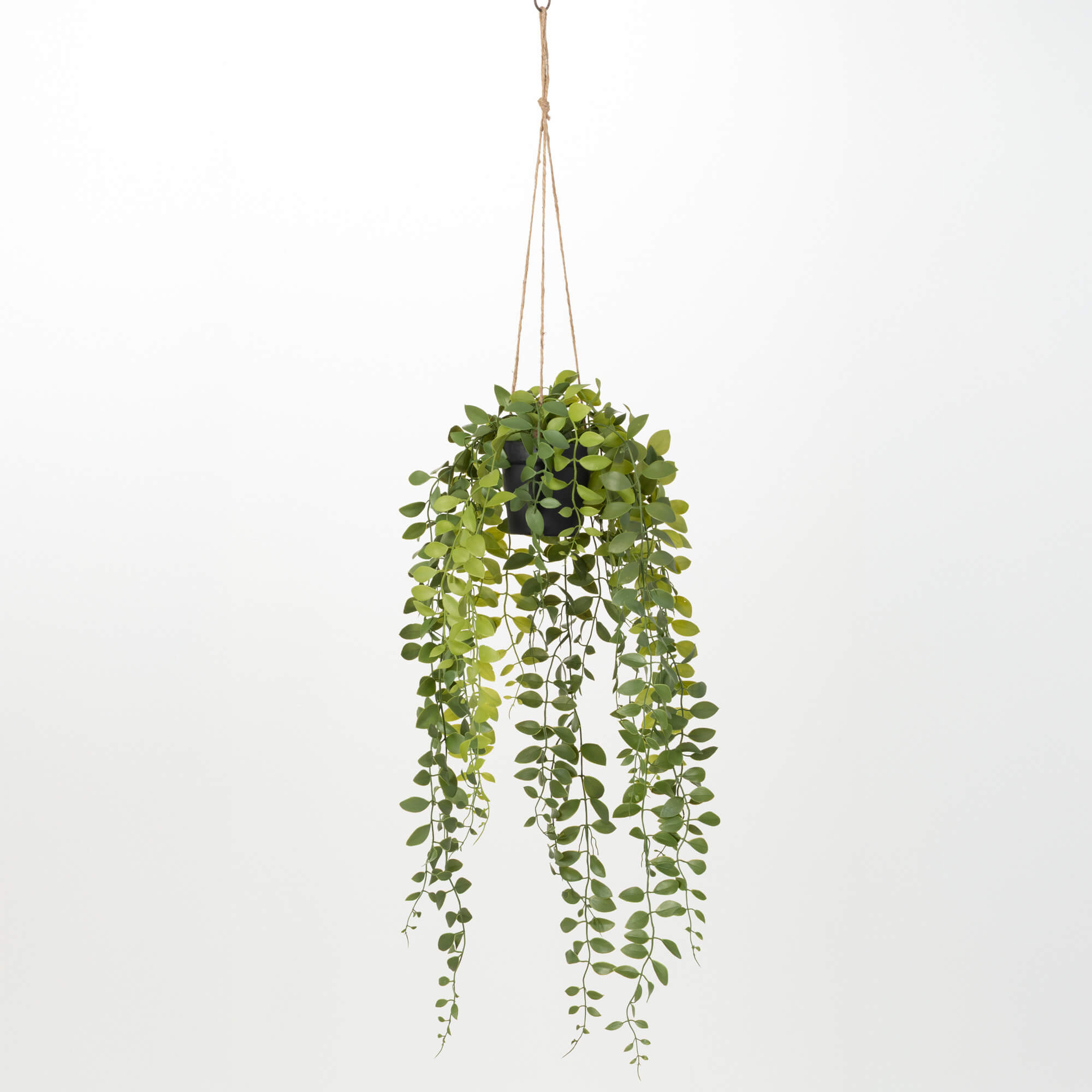 HANGING SOFT LEAF