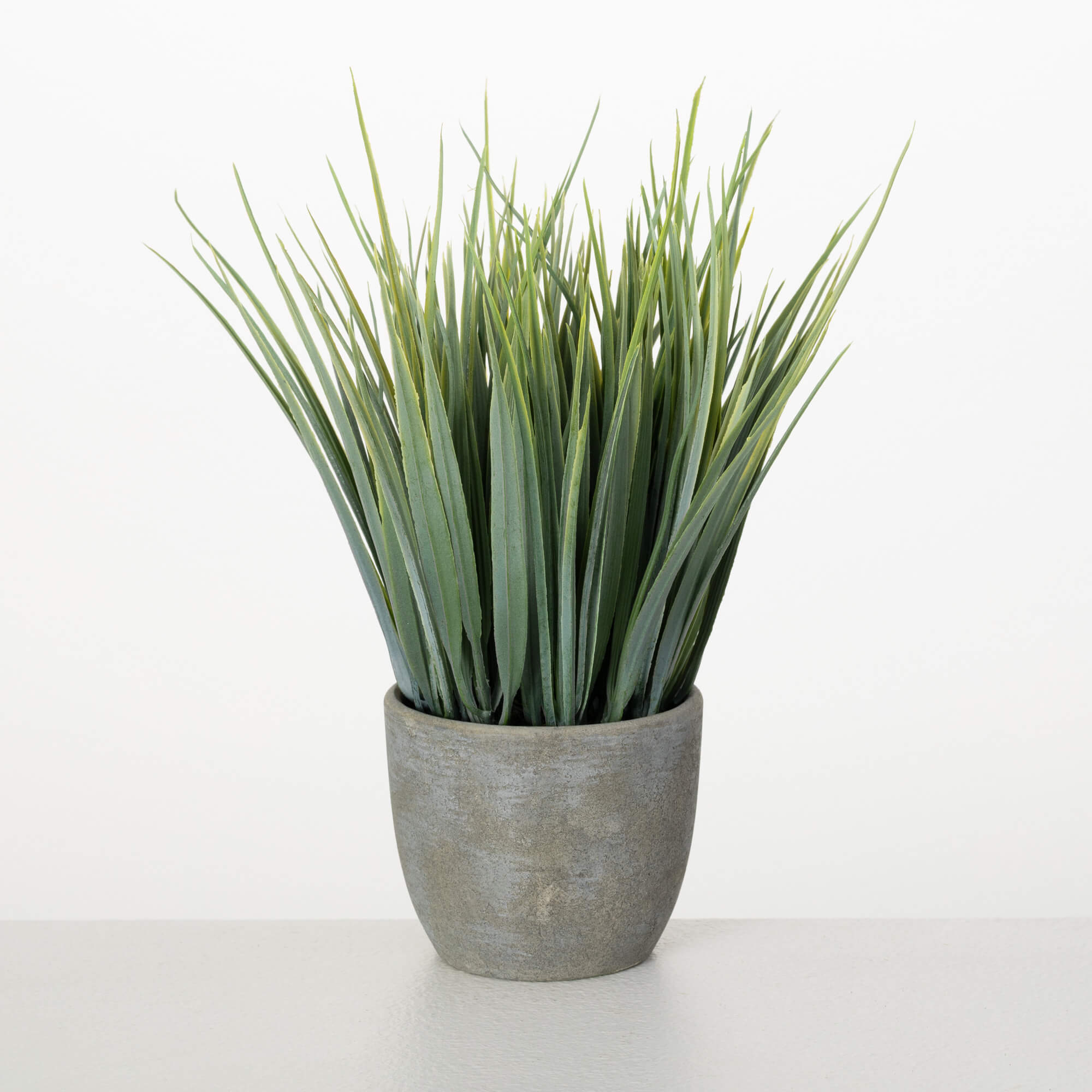 POTTED GRASS