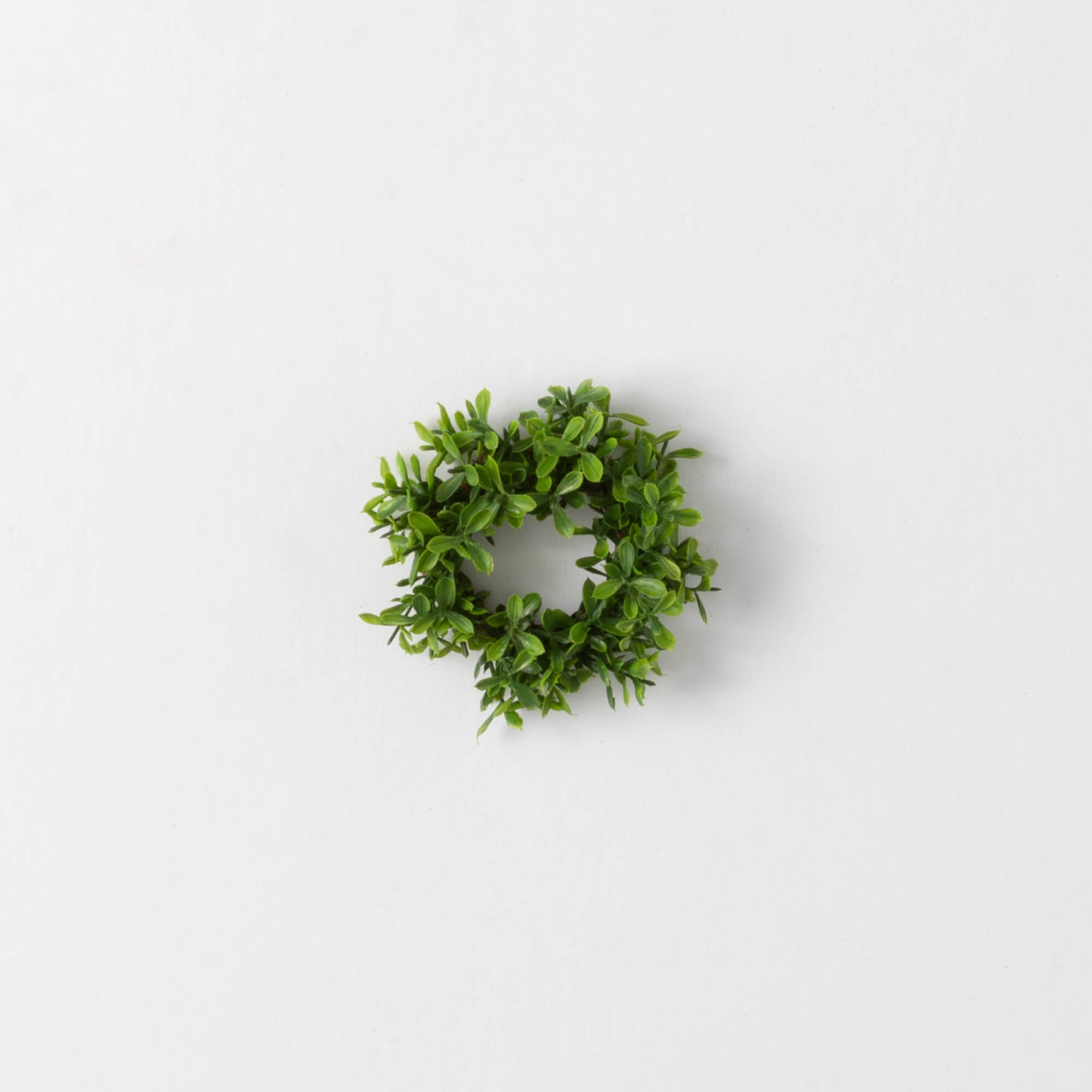 2" BOXWOOD TAPER RING