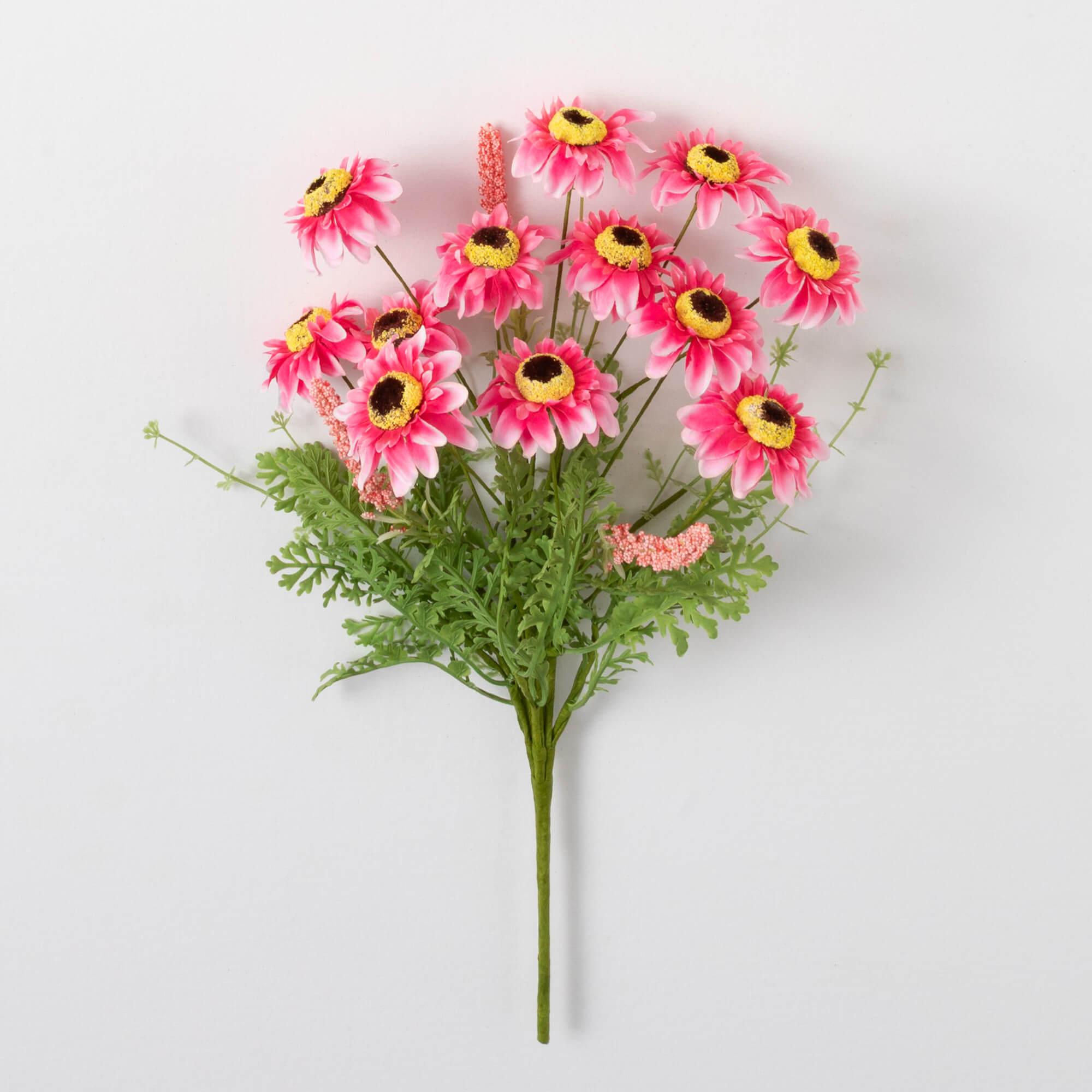 ZINNIA BUSH