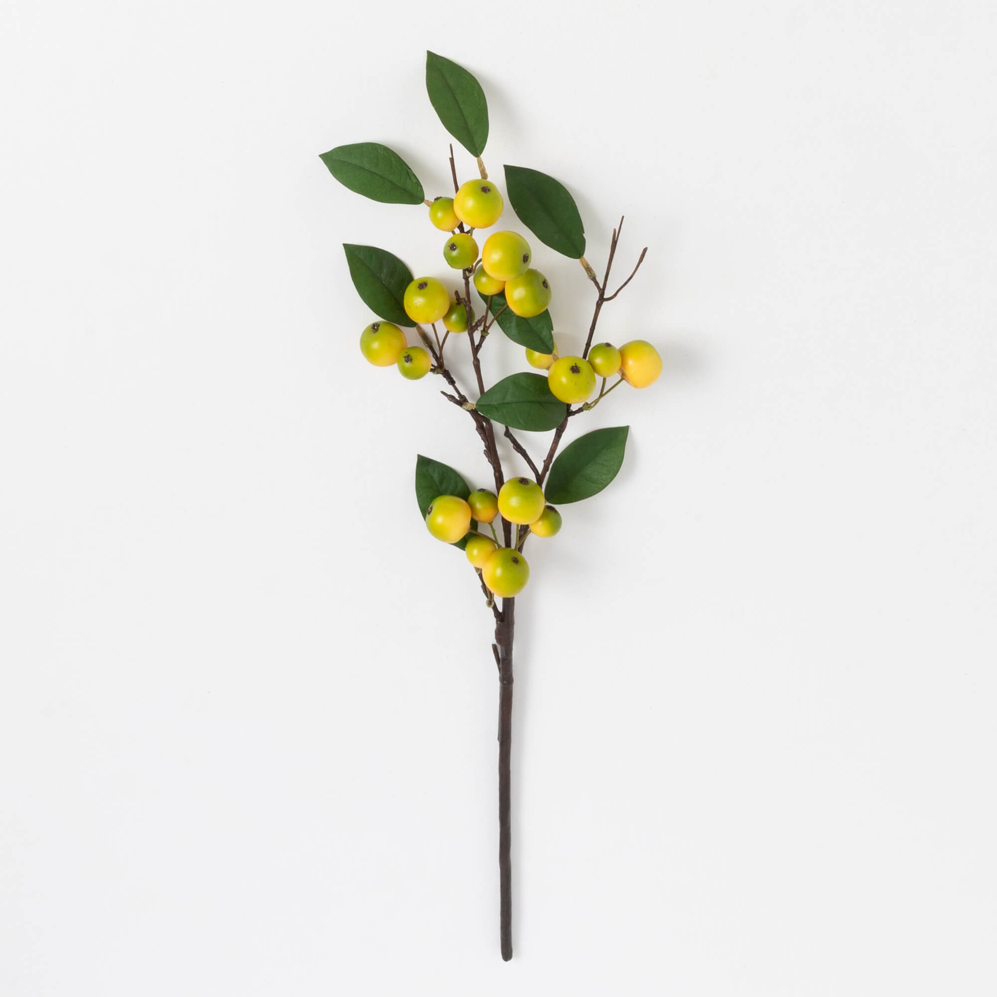 BERRY STEM