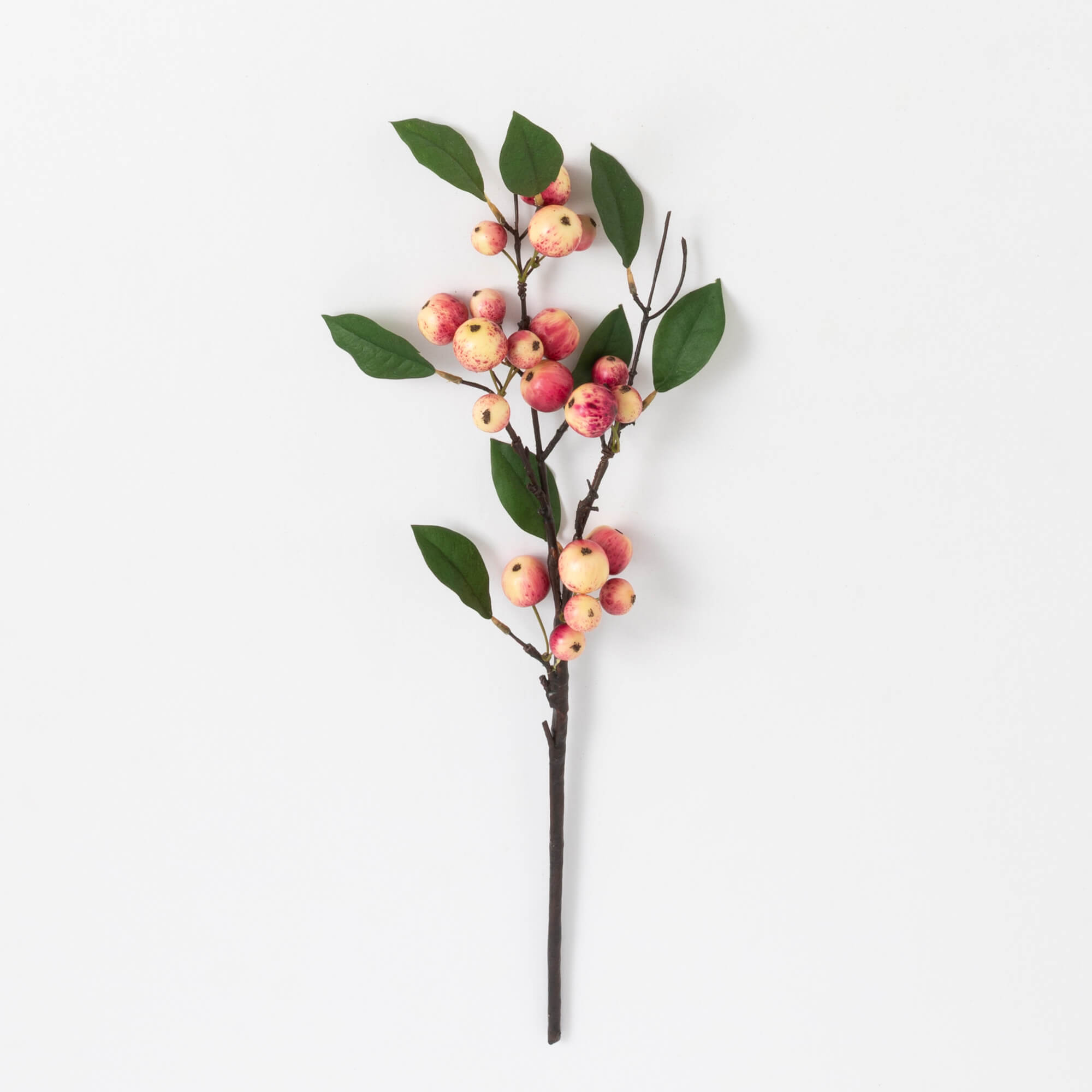 BERRY STEM