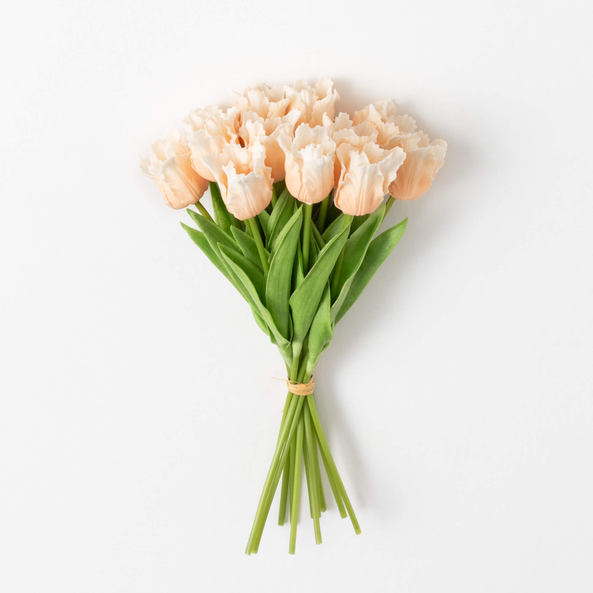 TULIP BUSH