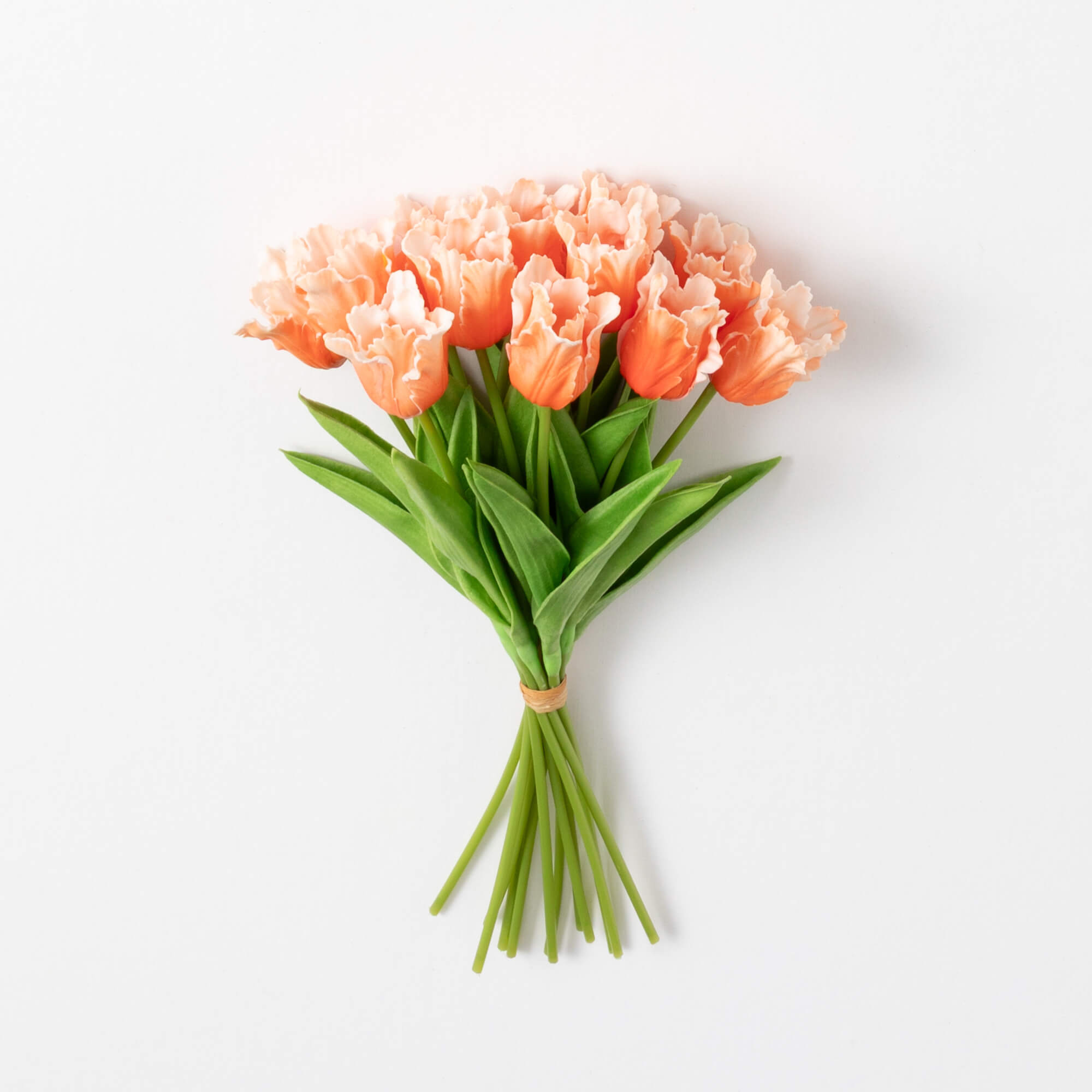 TULIP BUSH