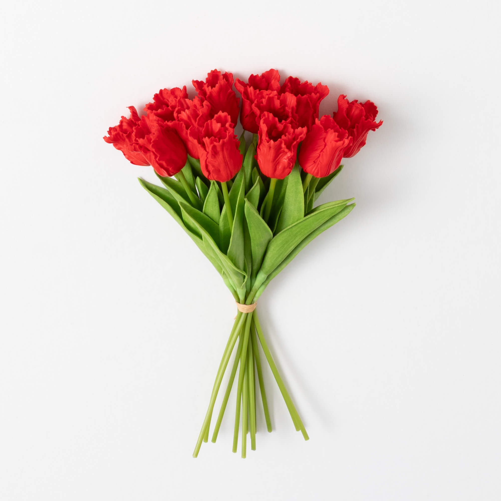 TULIP BUSH