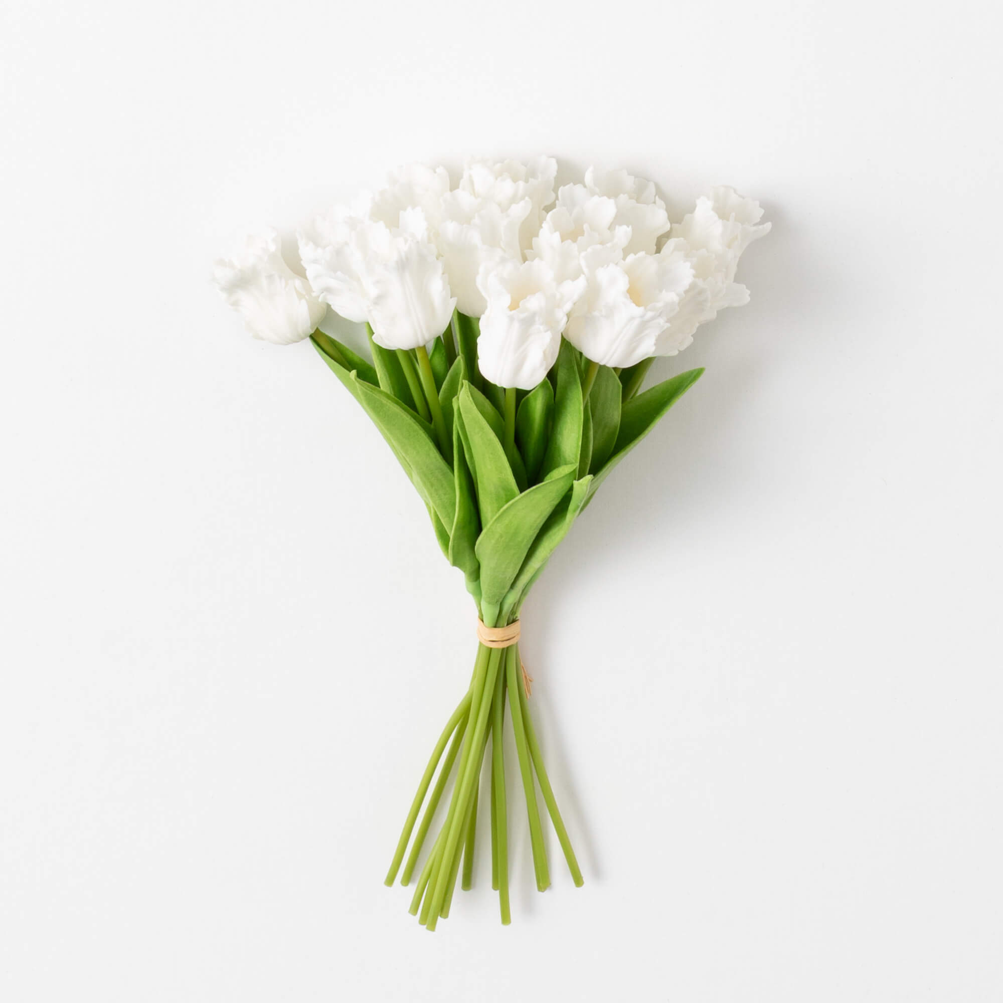 TULIP BUSH