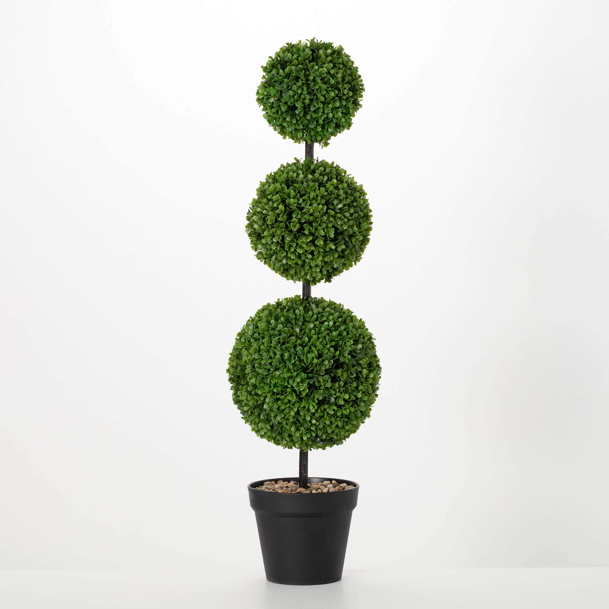 BOXWOOD TOPIARY