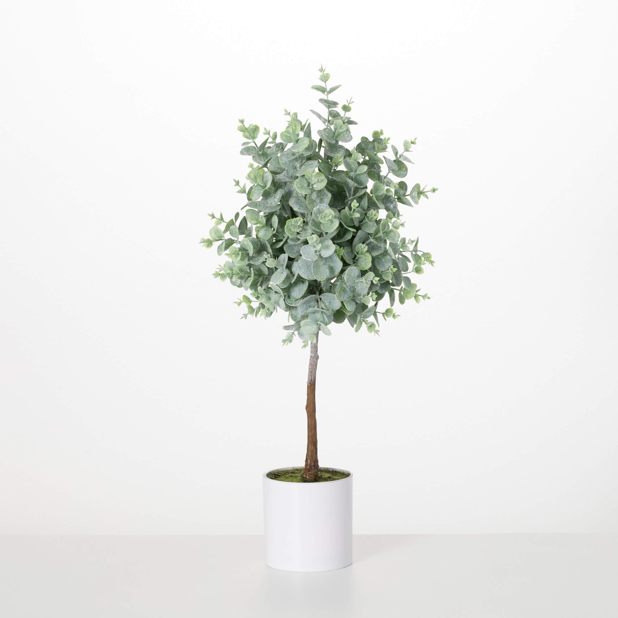 EUCALYPTUS TOPIARY