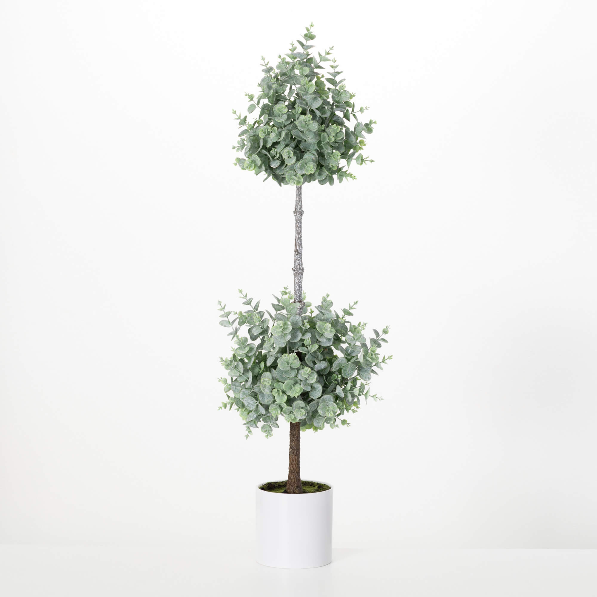 EUCALYPTUS TOPIARY