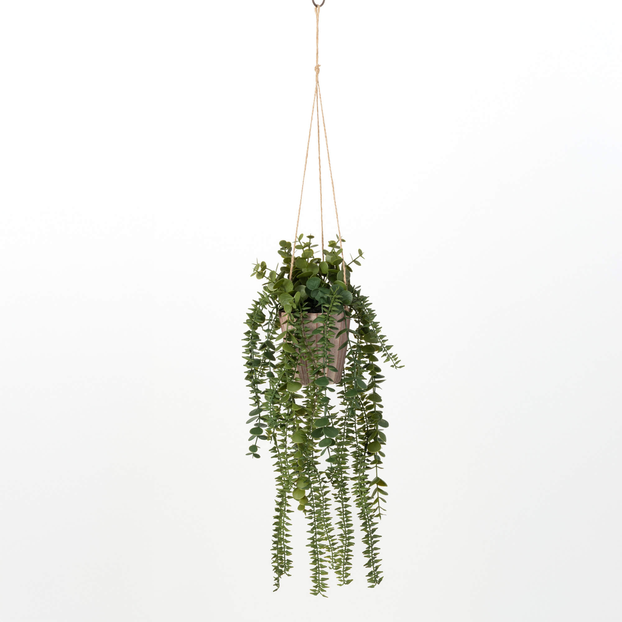 HANGING POTTED EUCALYPTUS