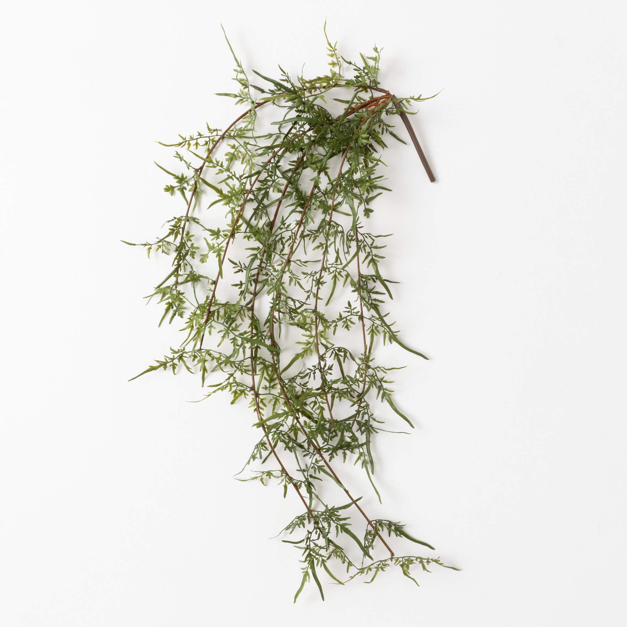 DRAPING TWIG FERN BUSH