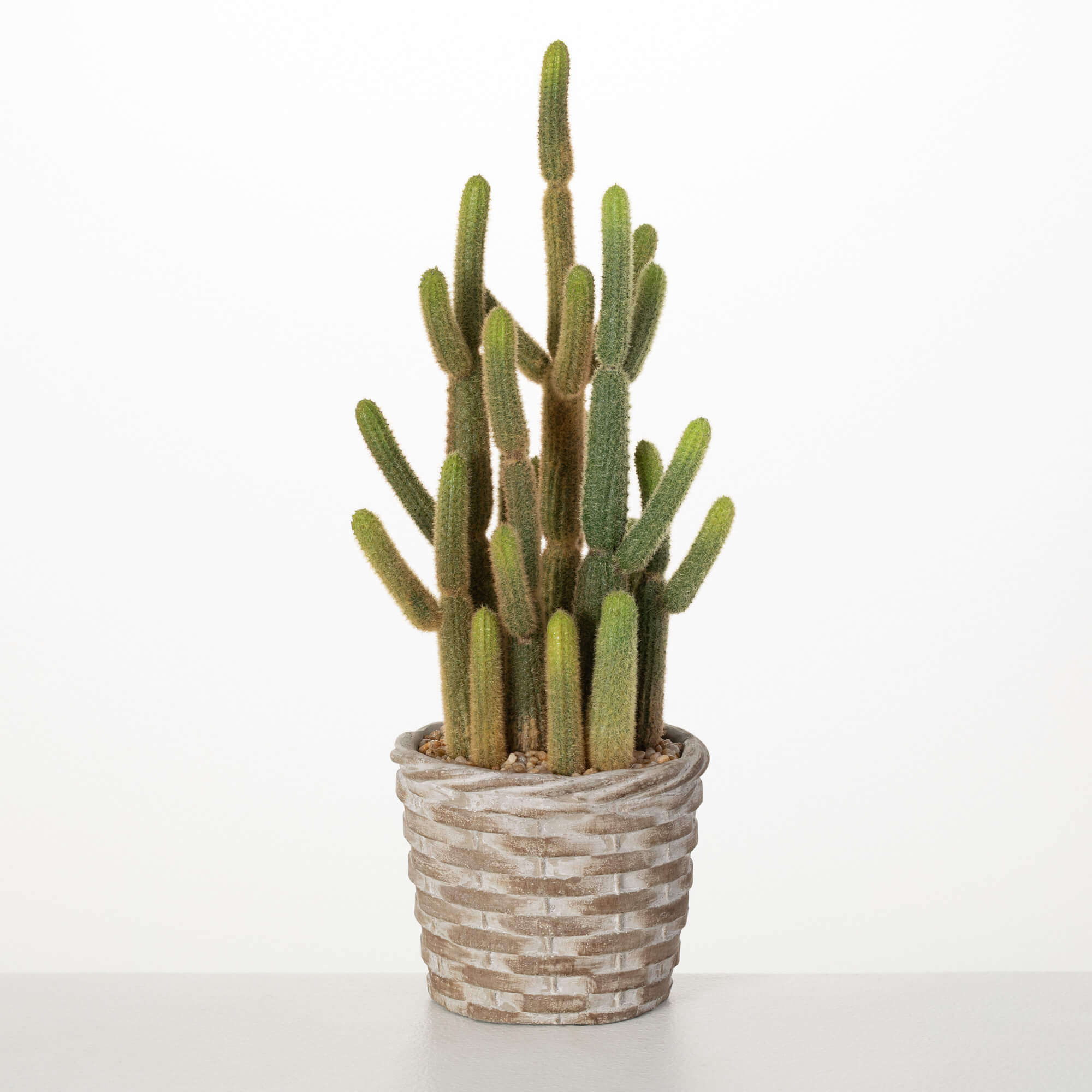 POTTED CACTUS
