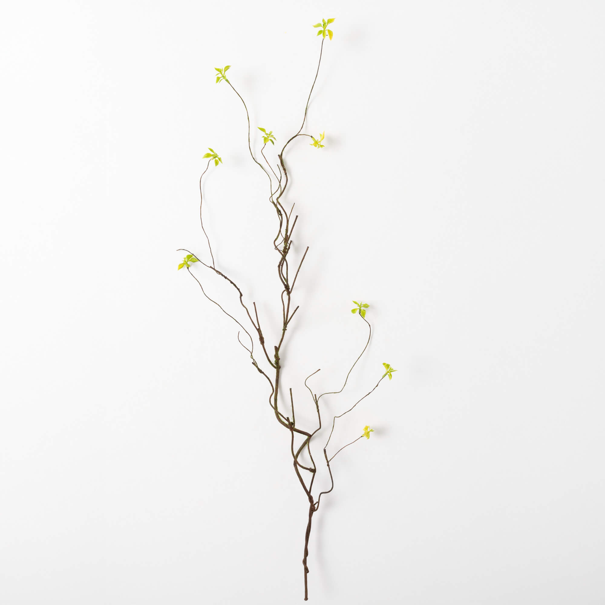 MOSS LEAF BRANCH