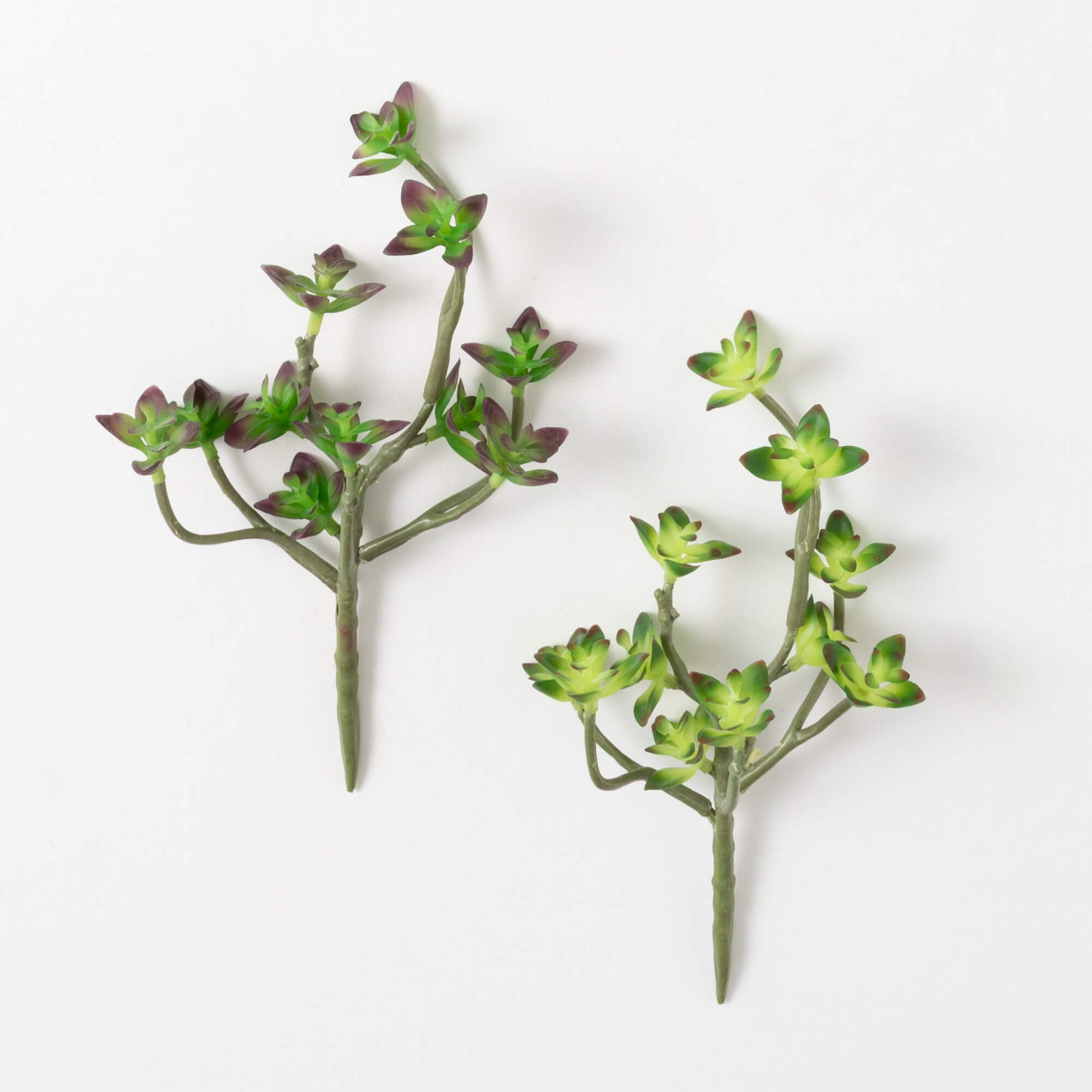 HOUSELEEK PICK Set 2