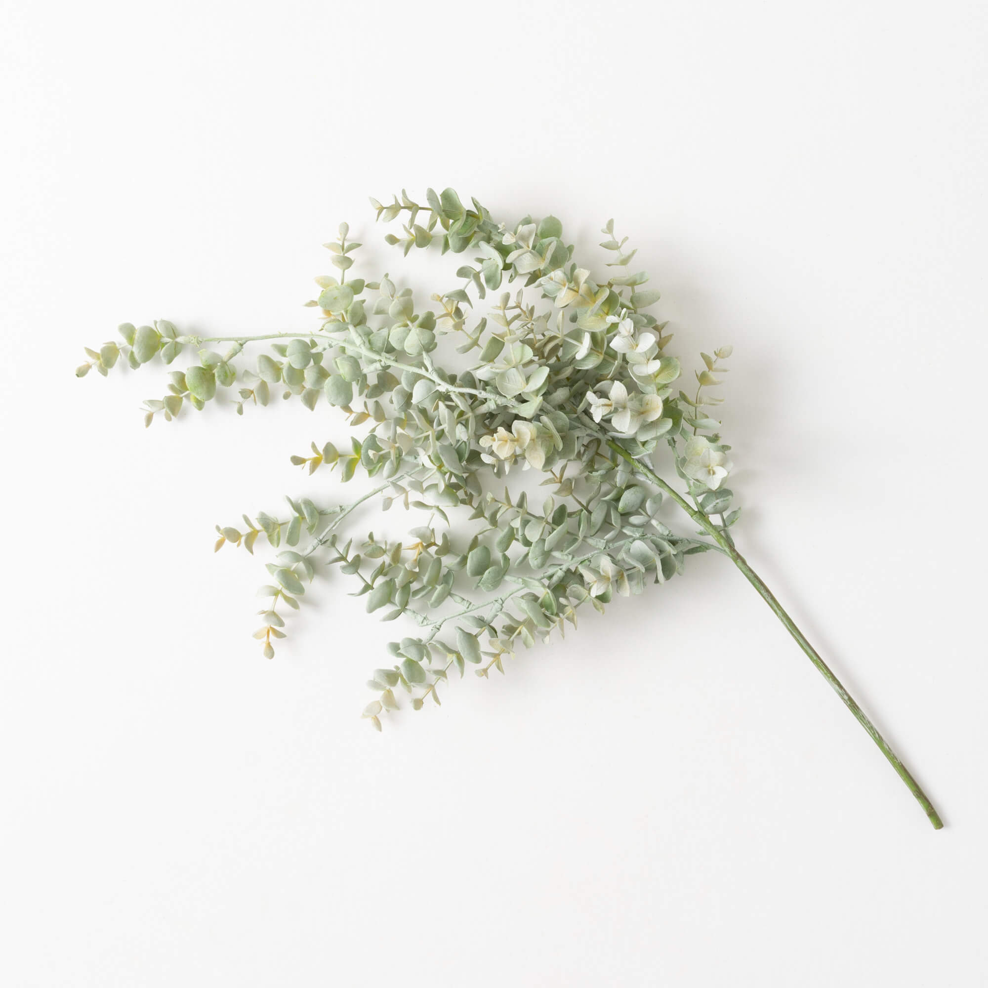 EUCALYPTUS SPRAY