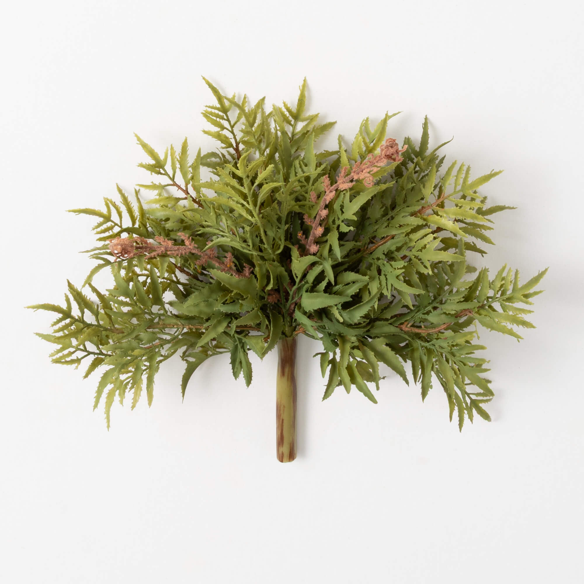 WILD FOREST FERN