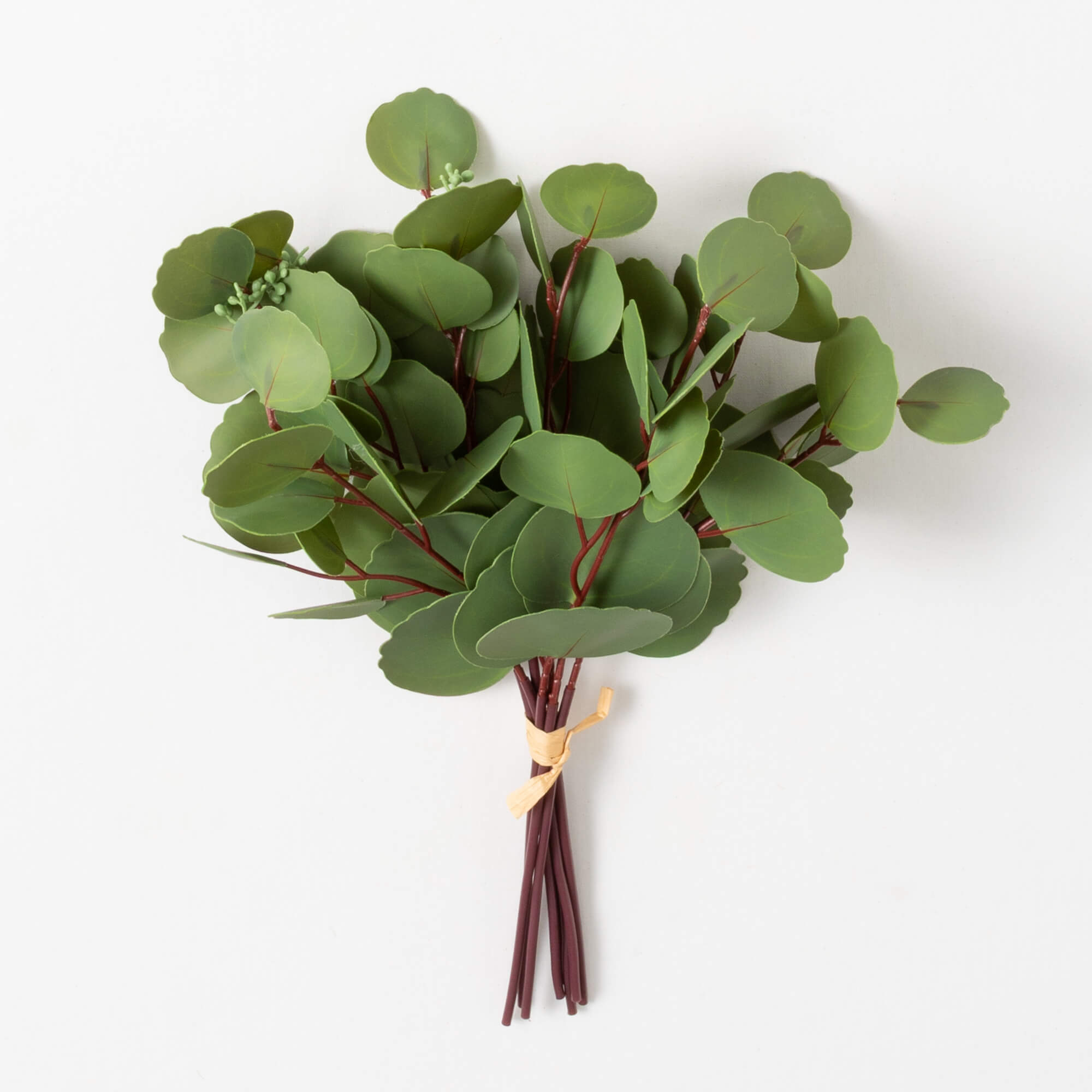 EUCALYPTUS BUSH