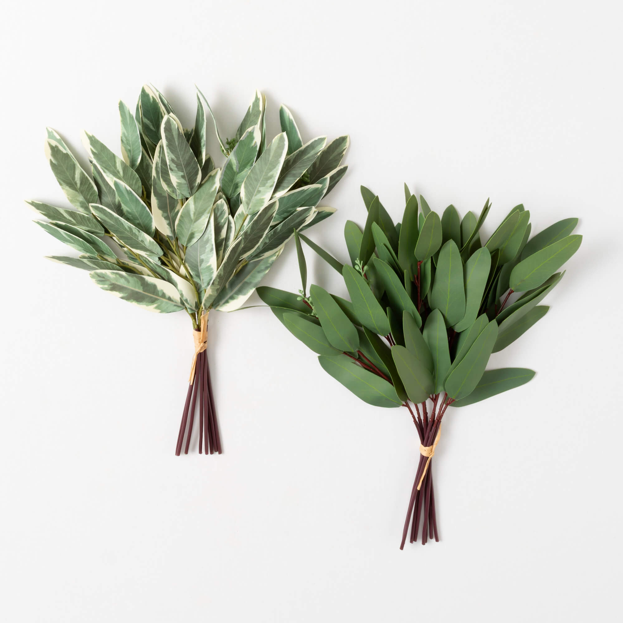 BLADE EUCALYPTUS BUSH Set 2