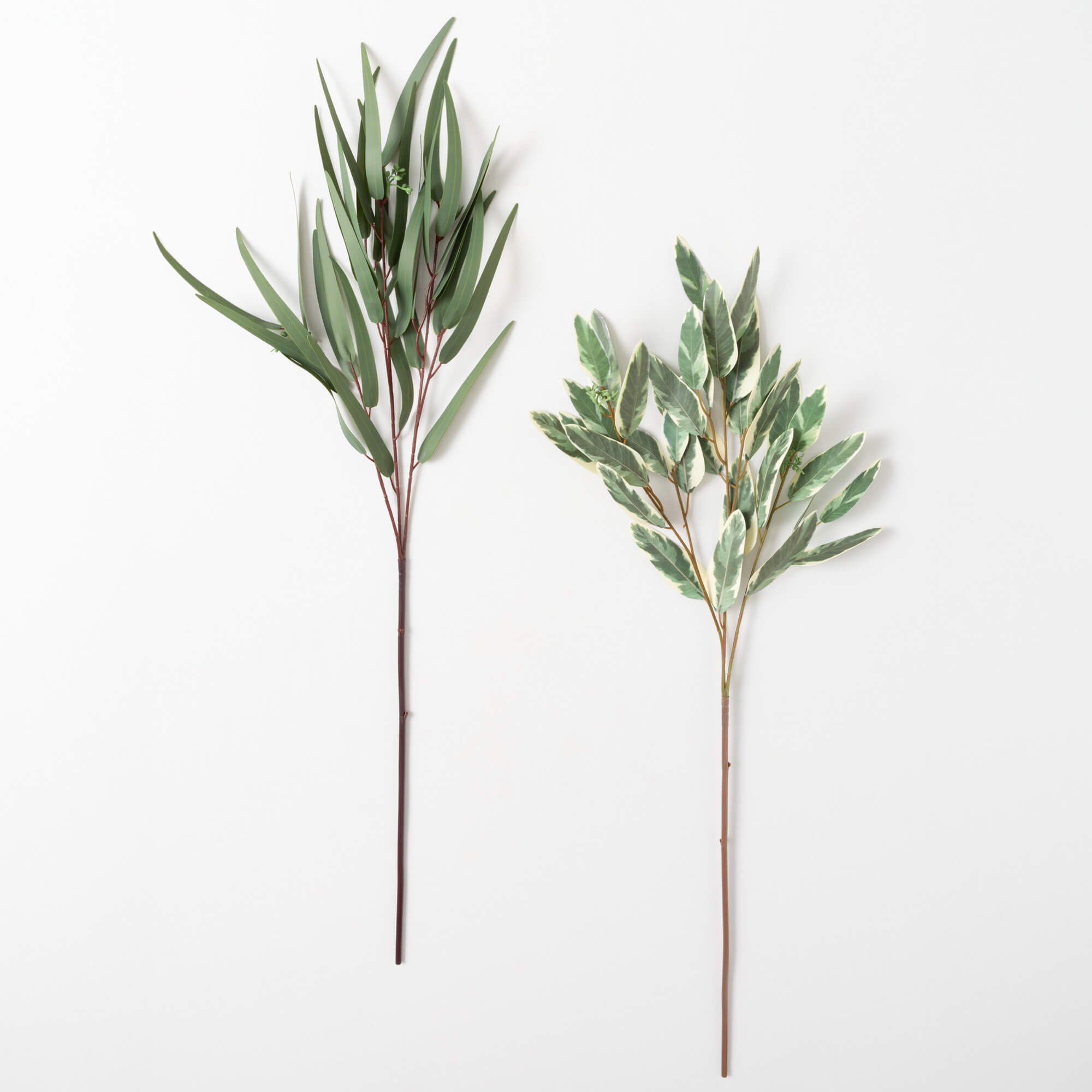 BLADE EUCALYPTUS SPRAY Set 2