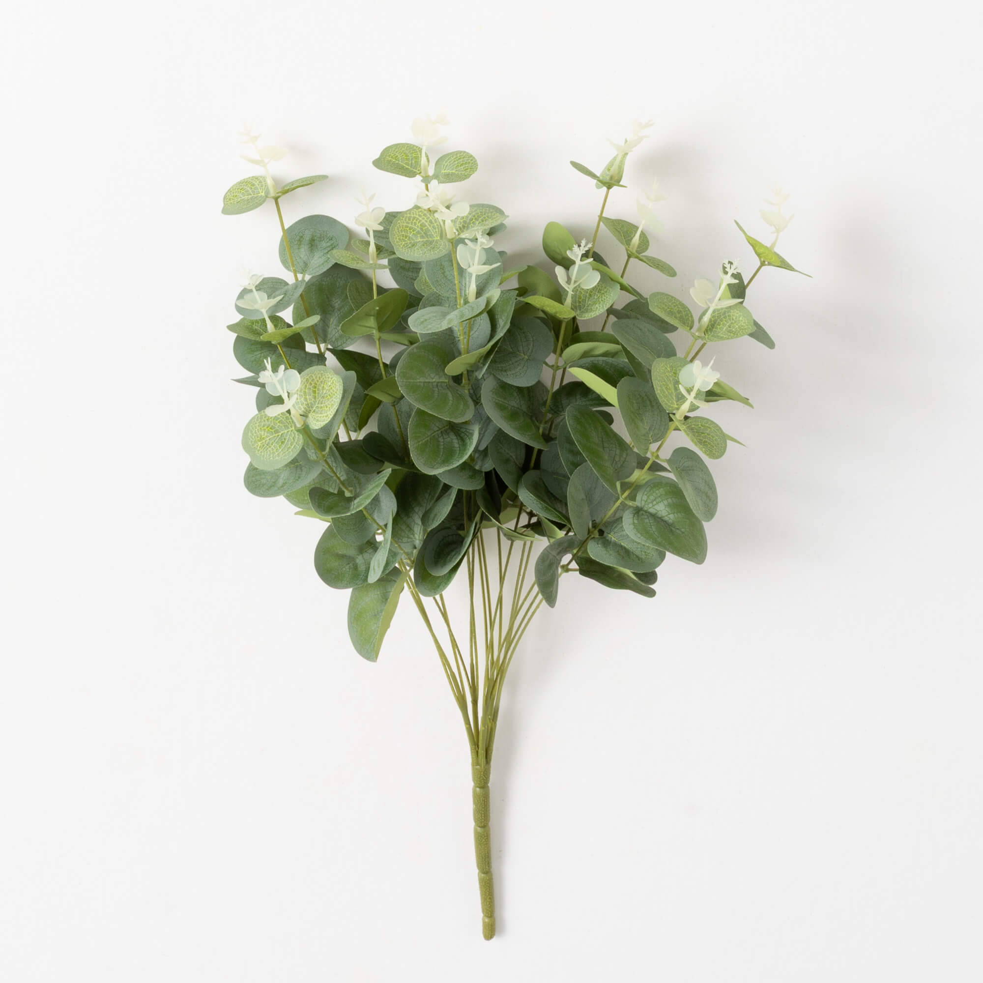 EUCALYPTUS BUSH