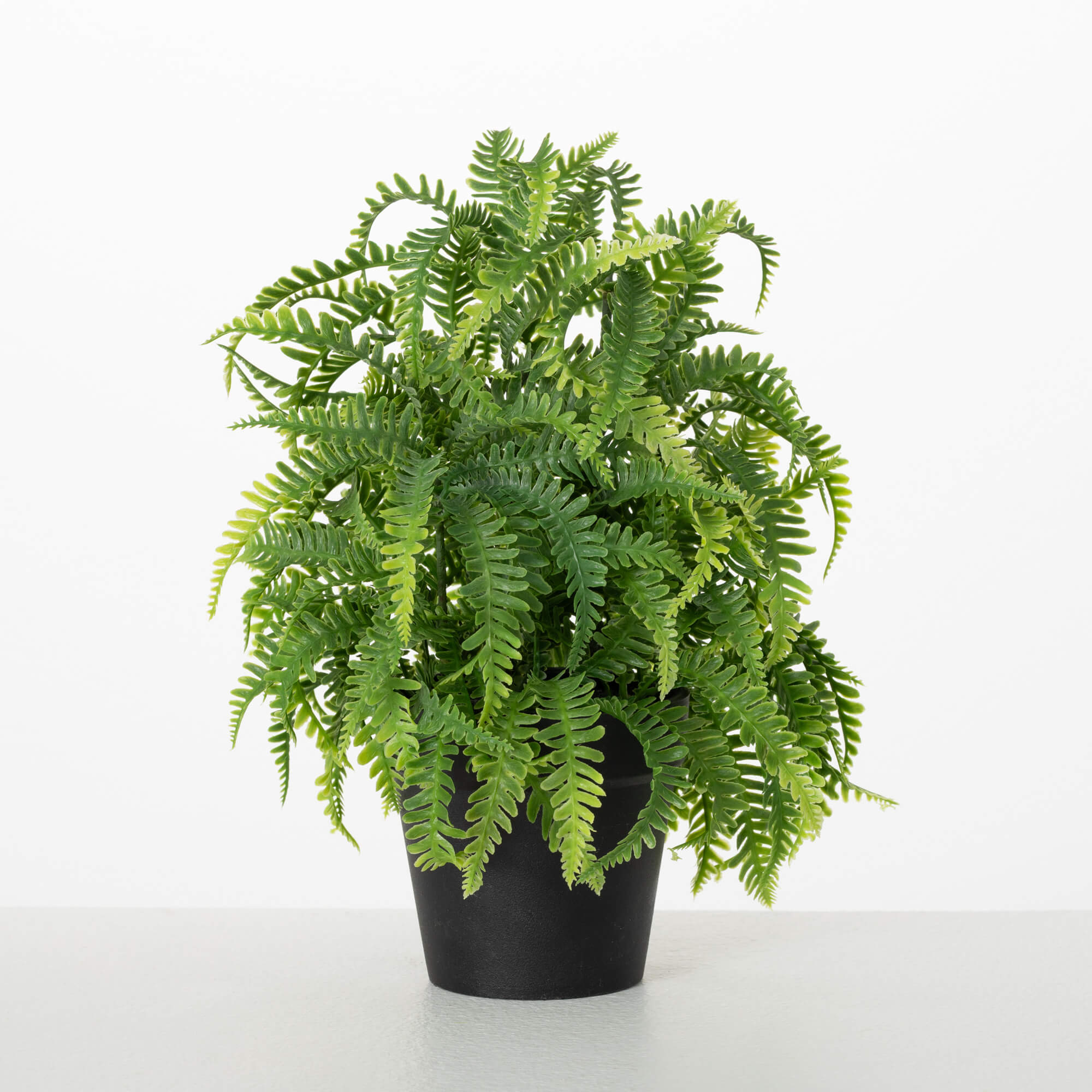 28529POT