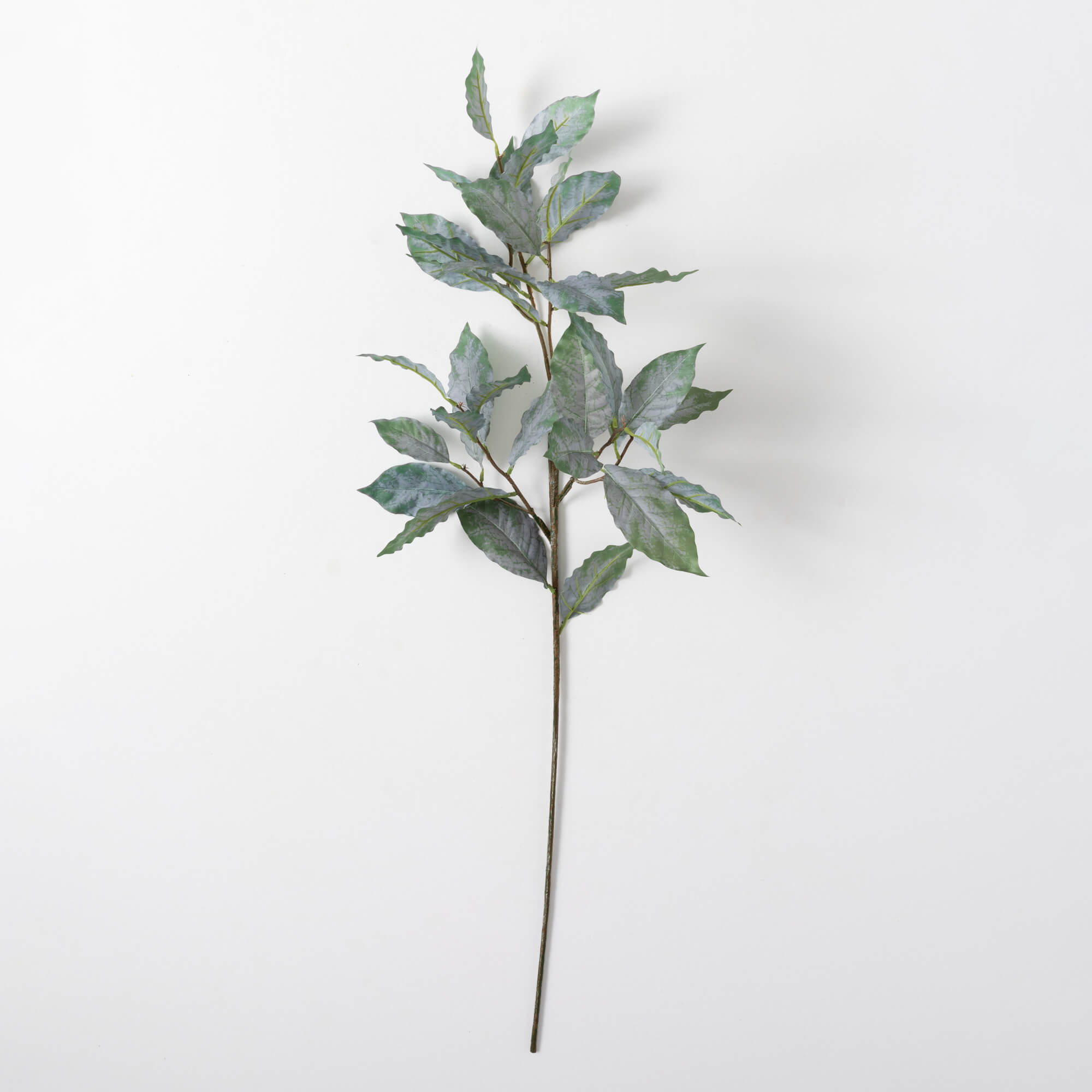 MIXED LEAF SPRAY
