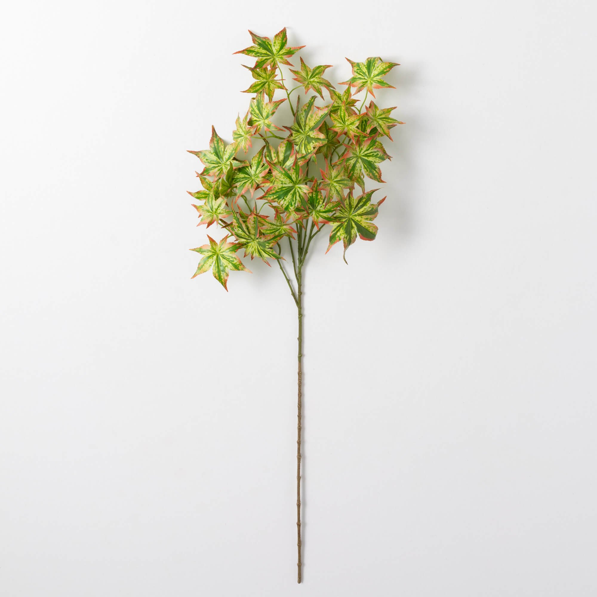 POINTED LEAF SPRAY