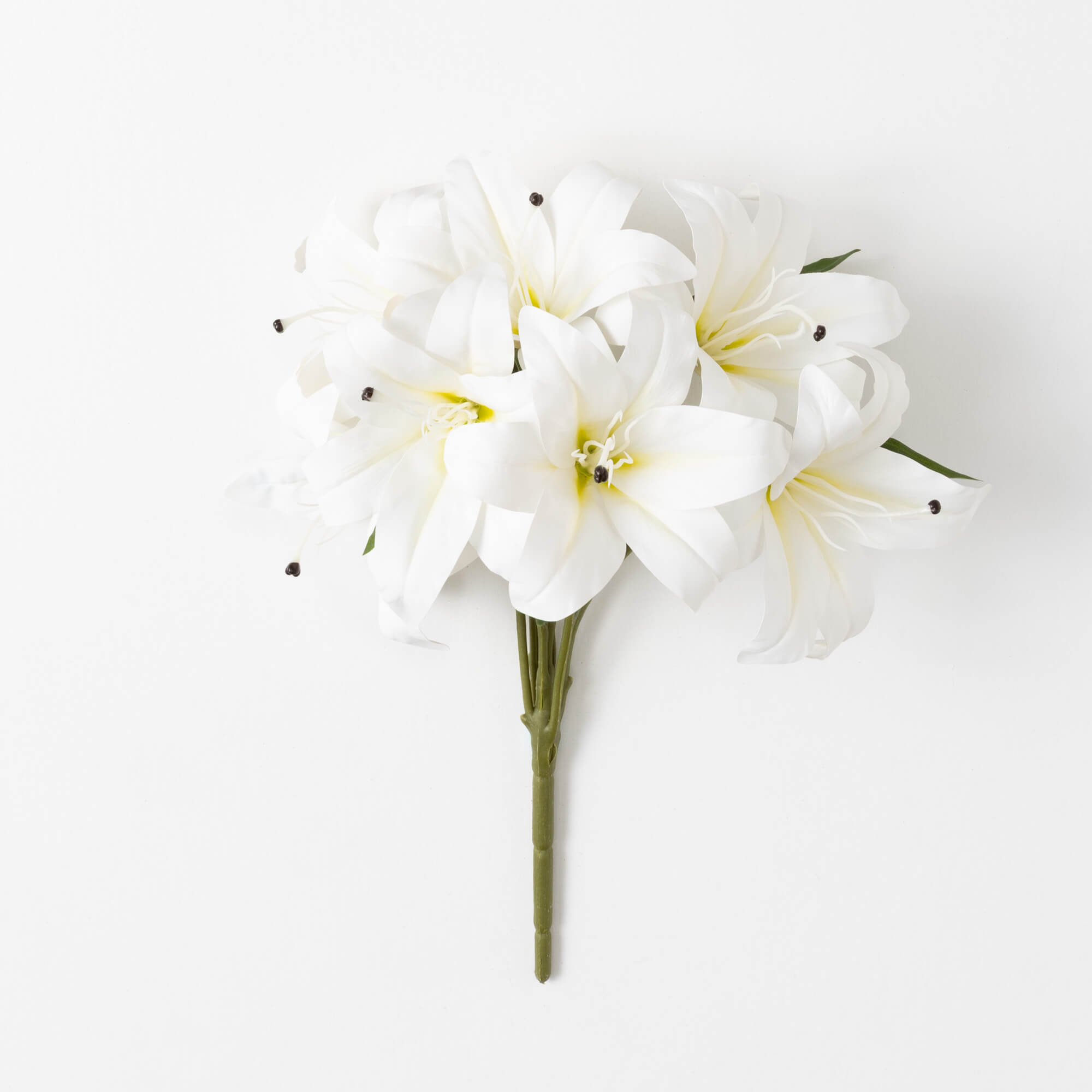 CASA LILY BUSH