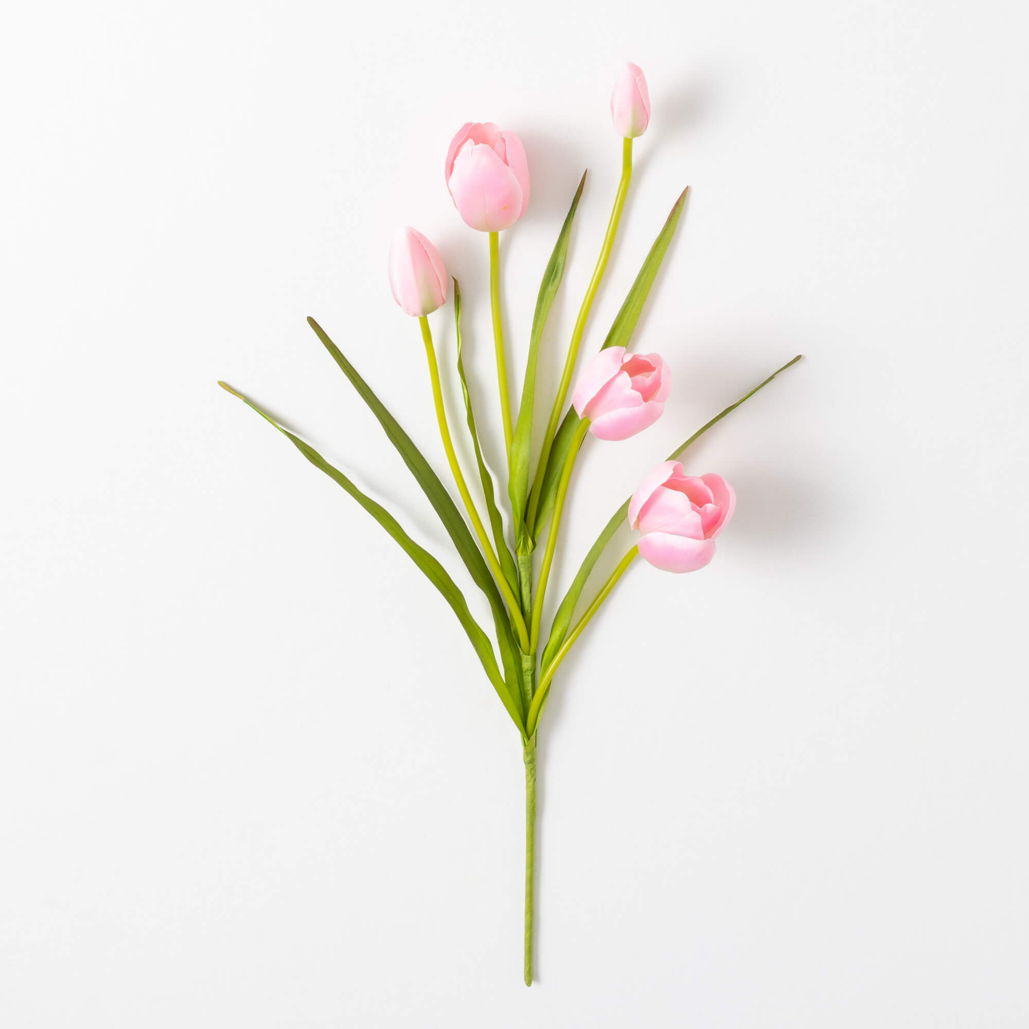 TULIP STEM