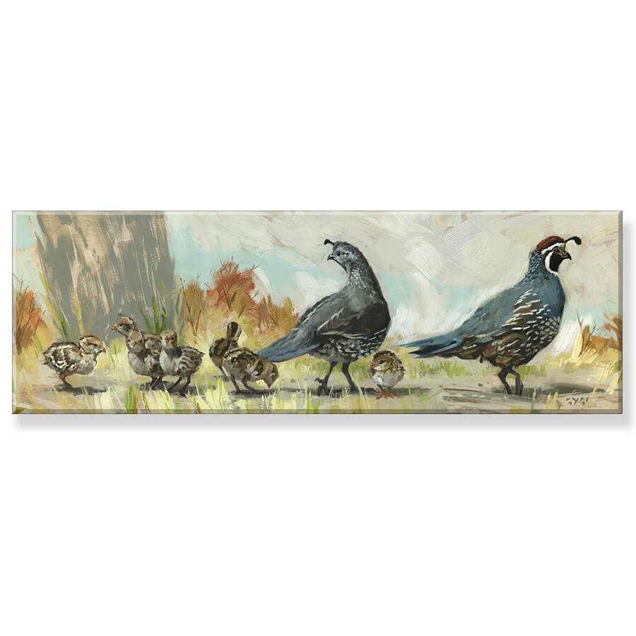 California Quail family &#8211; Paradigm Gallery + Studio