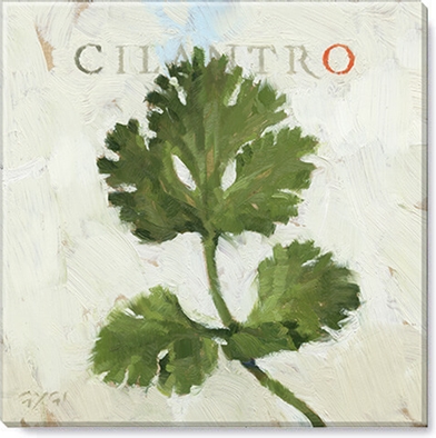 CILANTRO GICLEE WALL ART