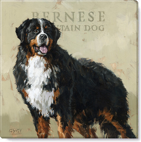 Bernese mountain dog wall on sale art