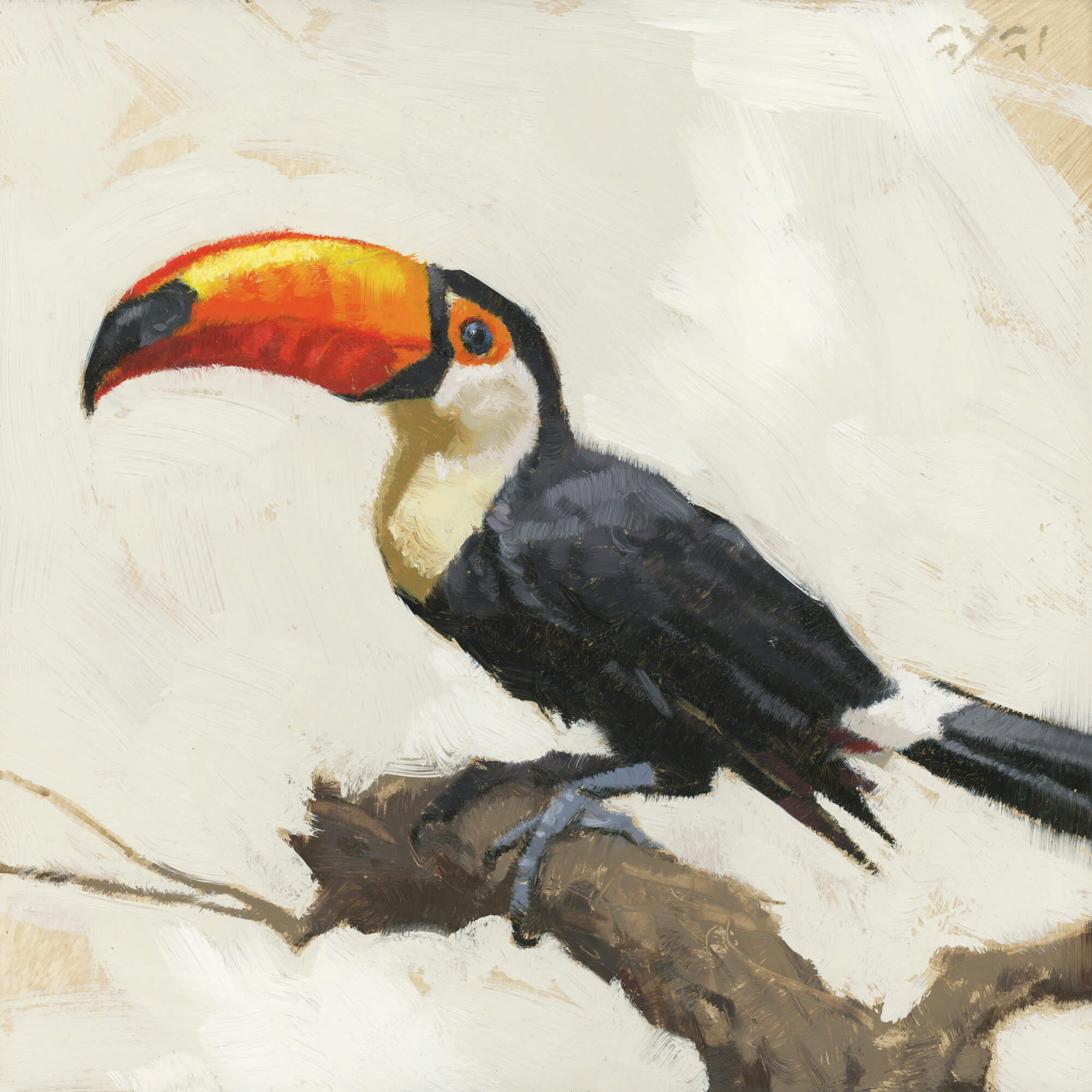 TOUCAN GICLEE WALL ART