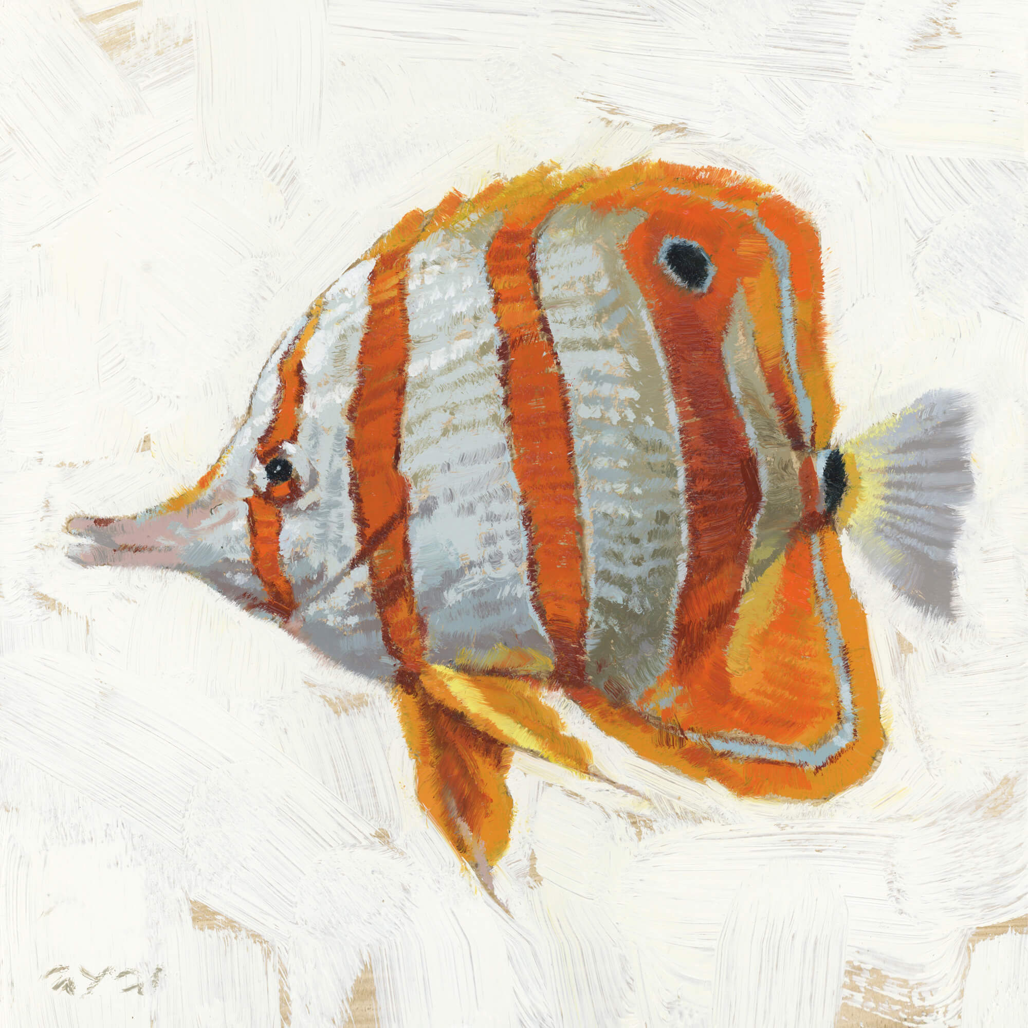 BUTTERFLY FISH GICLEE WALL ART
