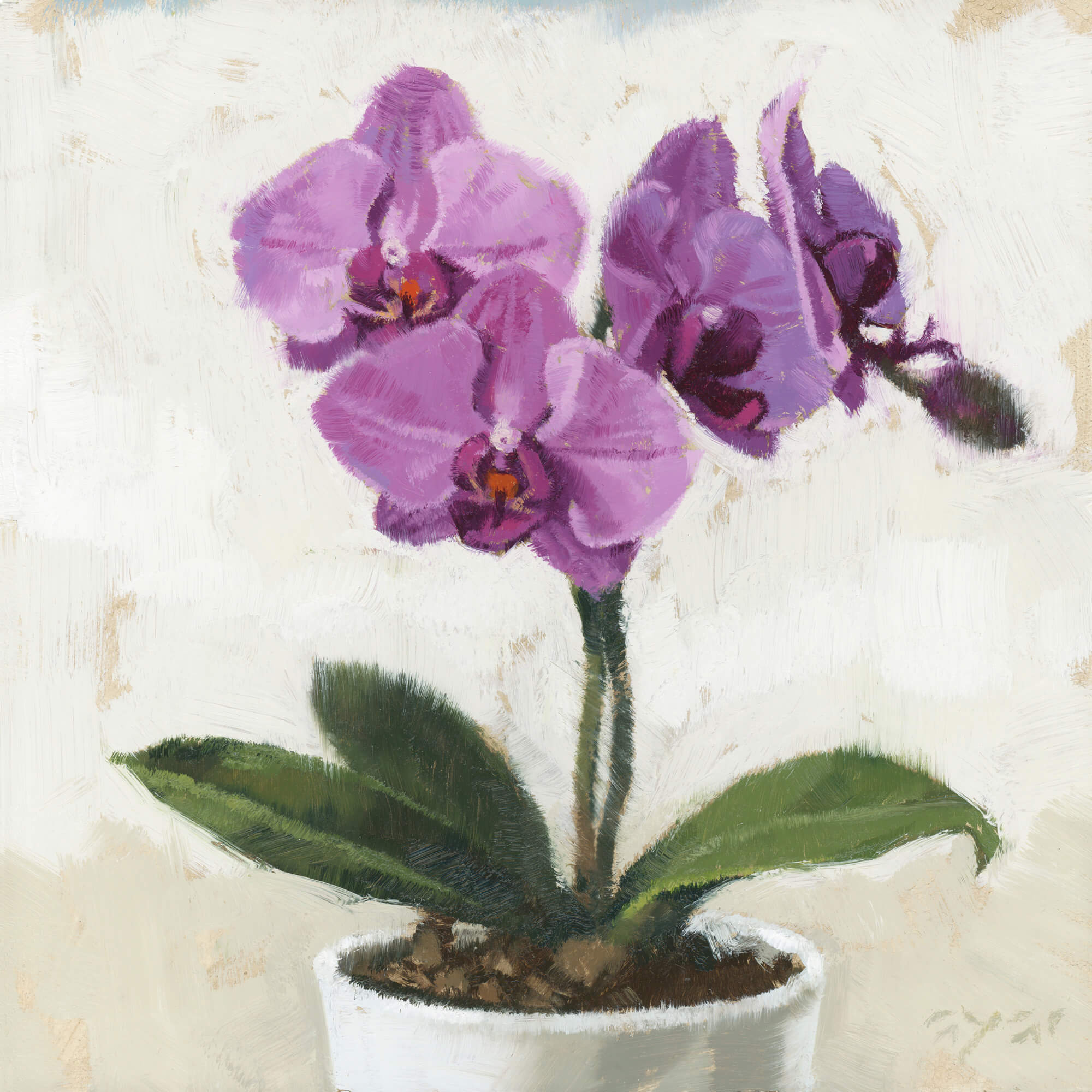 PHALAENOPSIS ORCHID WALL ART